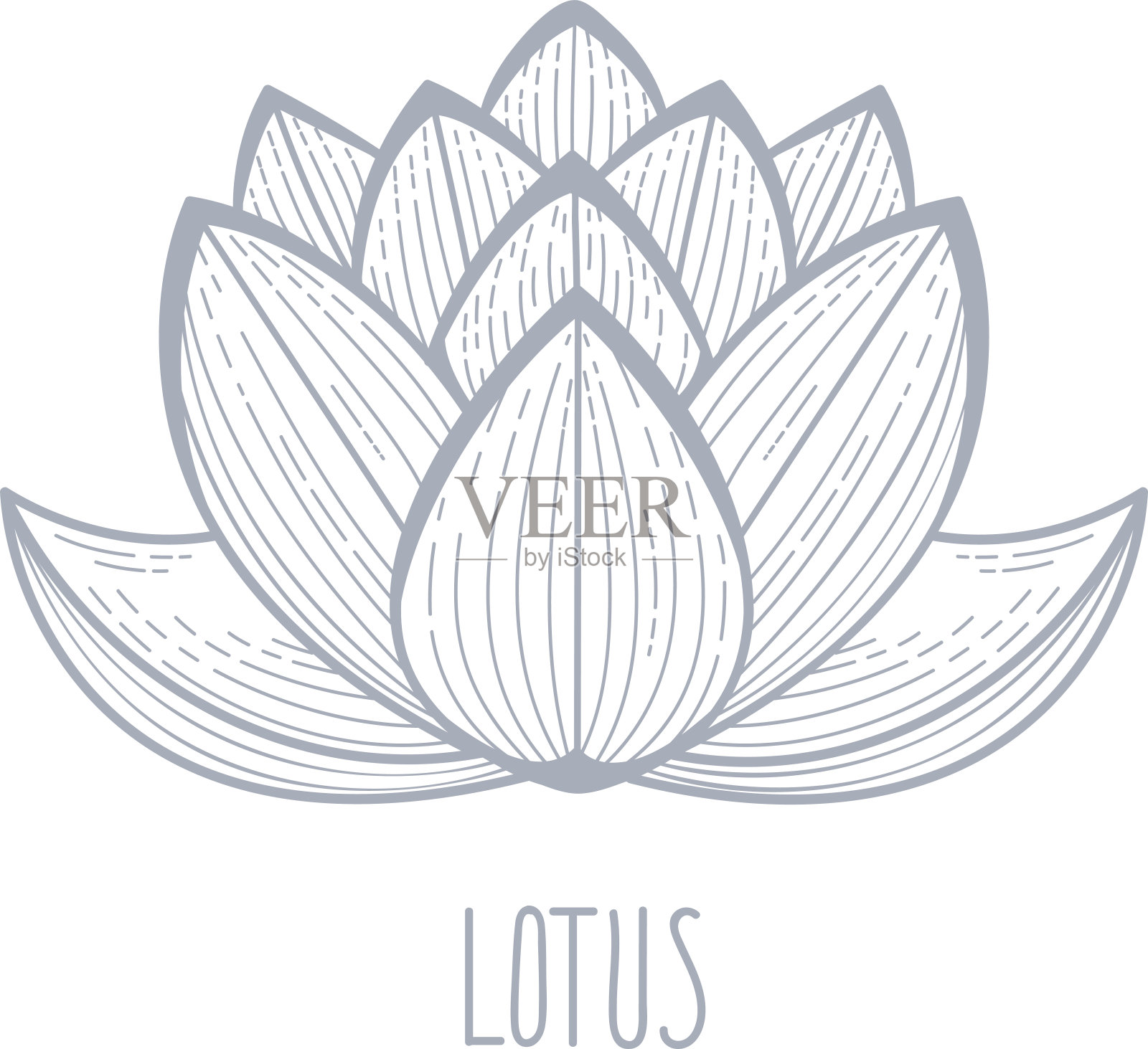 莲花插画图片素材