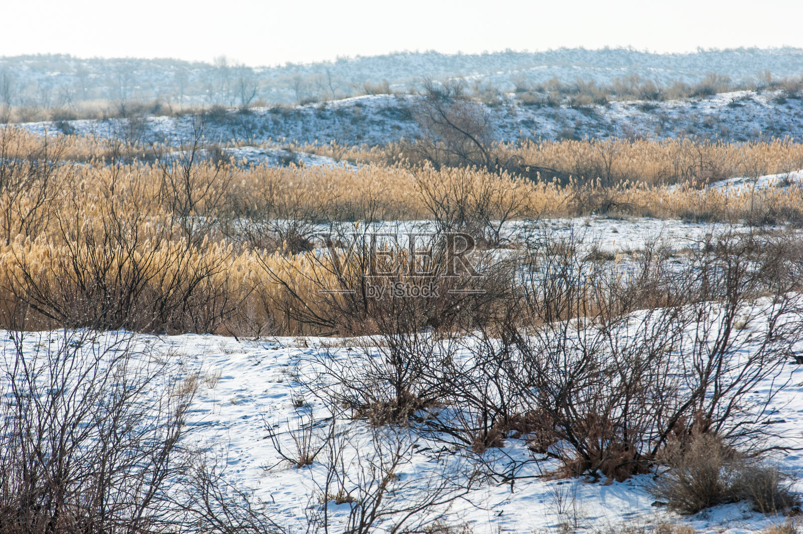 大草原的冬天。哈萨克斯坦，阿拉木图地区，巴卡纳斯，照片摄影图片