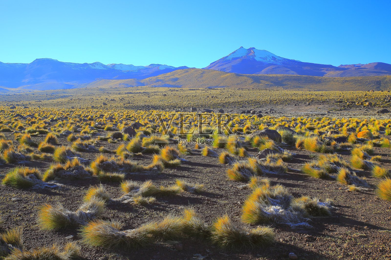 智利安第斯高原的日出和火山，田园诗般的阿塔卡马沙漠，白雪皑皑的火山草原普纳景观全景-安托法加斯塔地区，智利安第斯，智利，Bolívia和阿根廷边境照片摄影图片