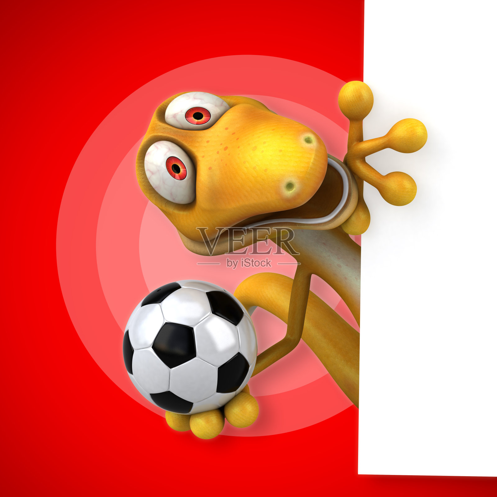 有趣的蜥蜴照片摄影图片