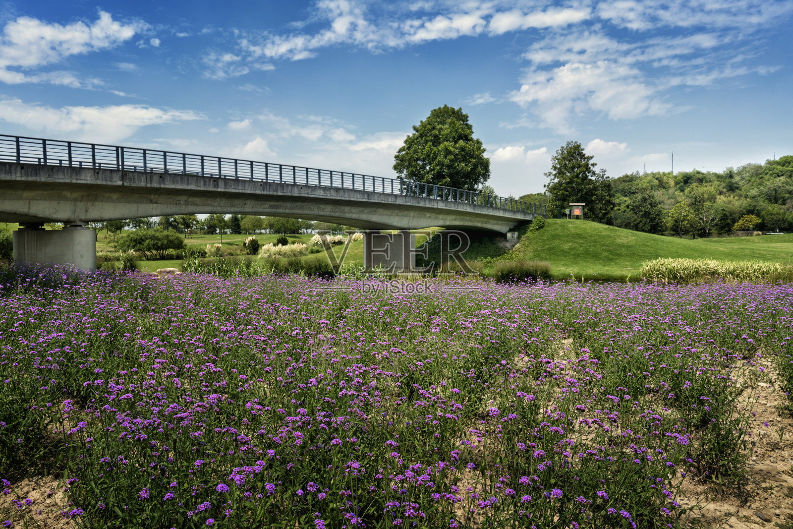 蓝天下的绿色景观照片摄影图片