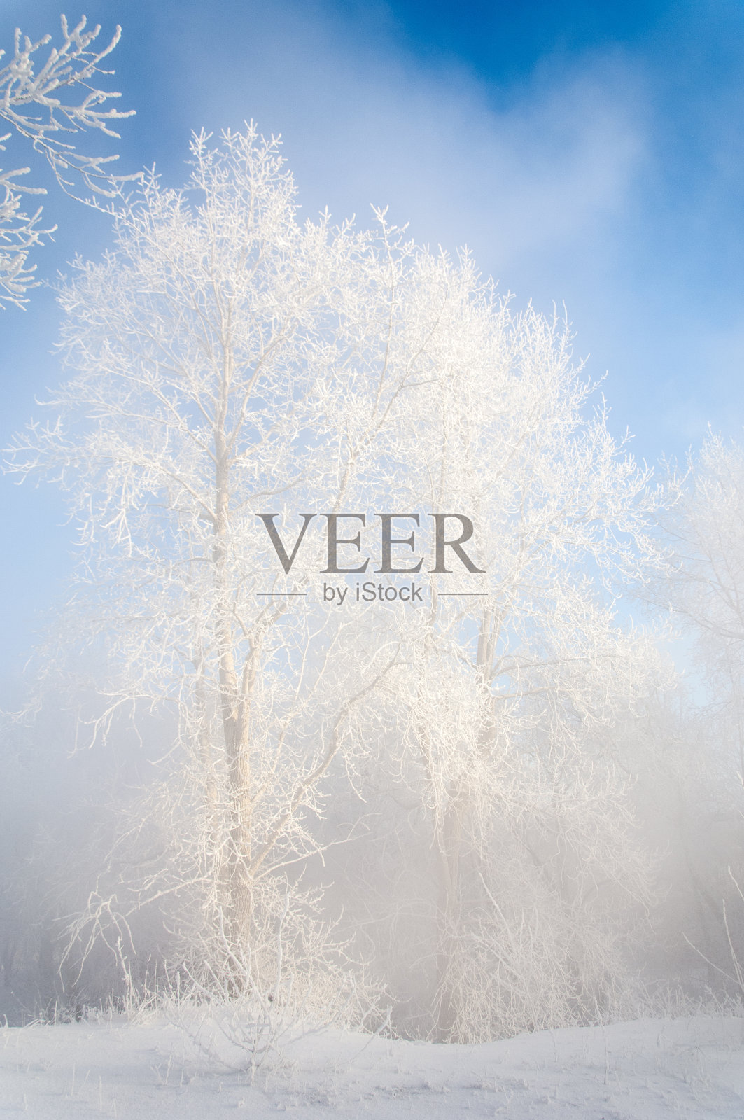 河冬天照片摄影图片