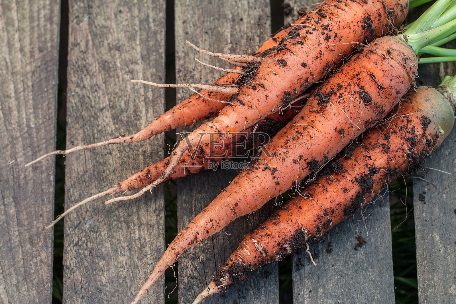 新鲜胡萝卜束在乡村的桌子上照片摄影图片