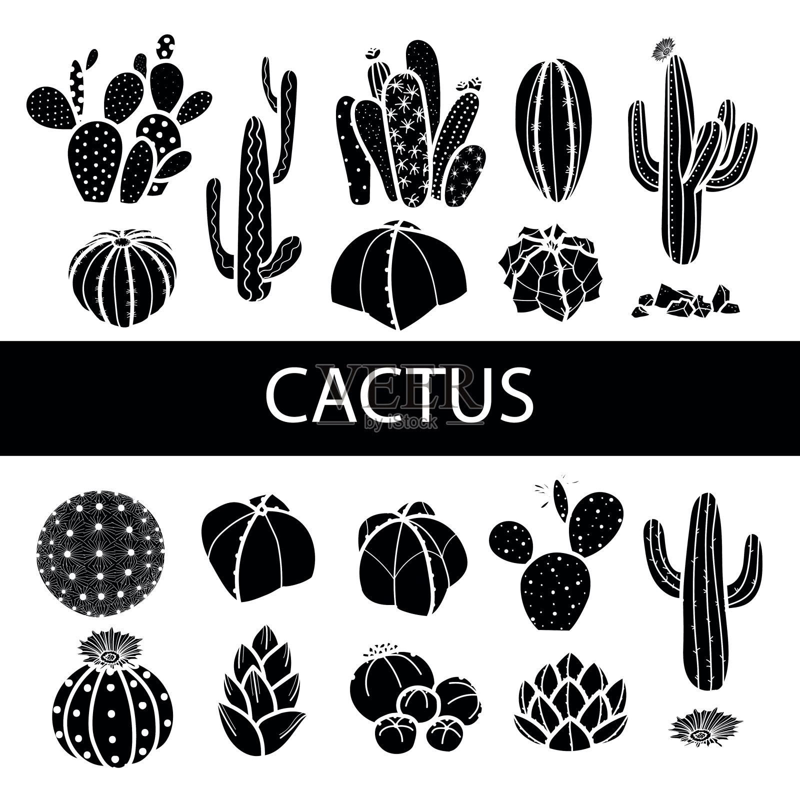 一组孤立的剪影仙人掌和多肉植物。矢量插图。插画图片素材