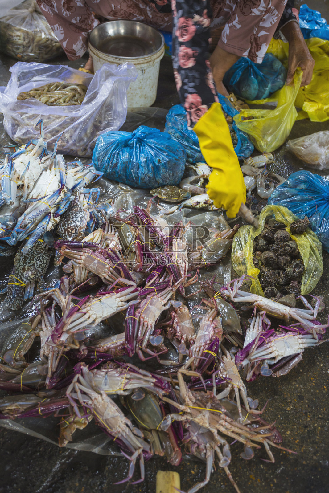 在市场出售鱼及海鲜照片摄影图片