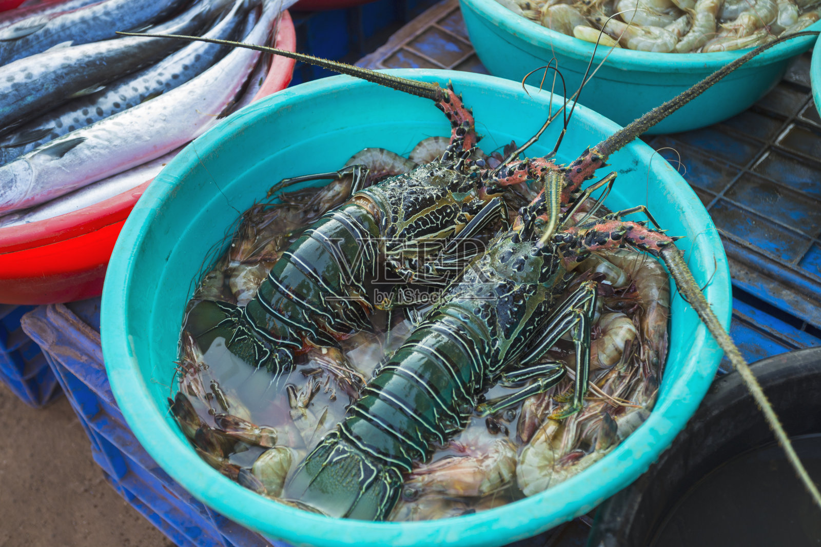 在印度市场出售龙虾照片摄影图片