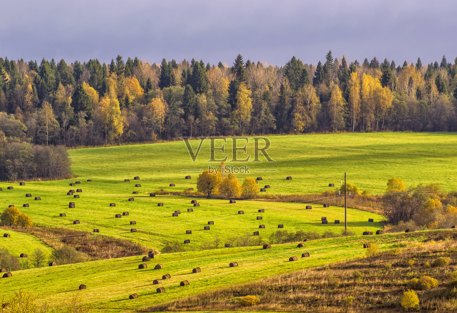 秋天的早晨照片摄影图片