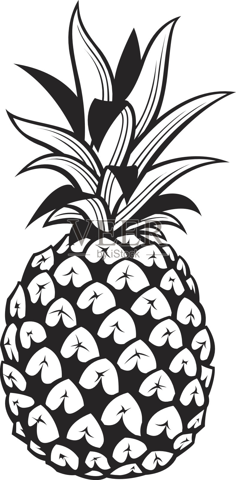 菠萝水果图片插画图片素材