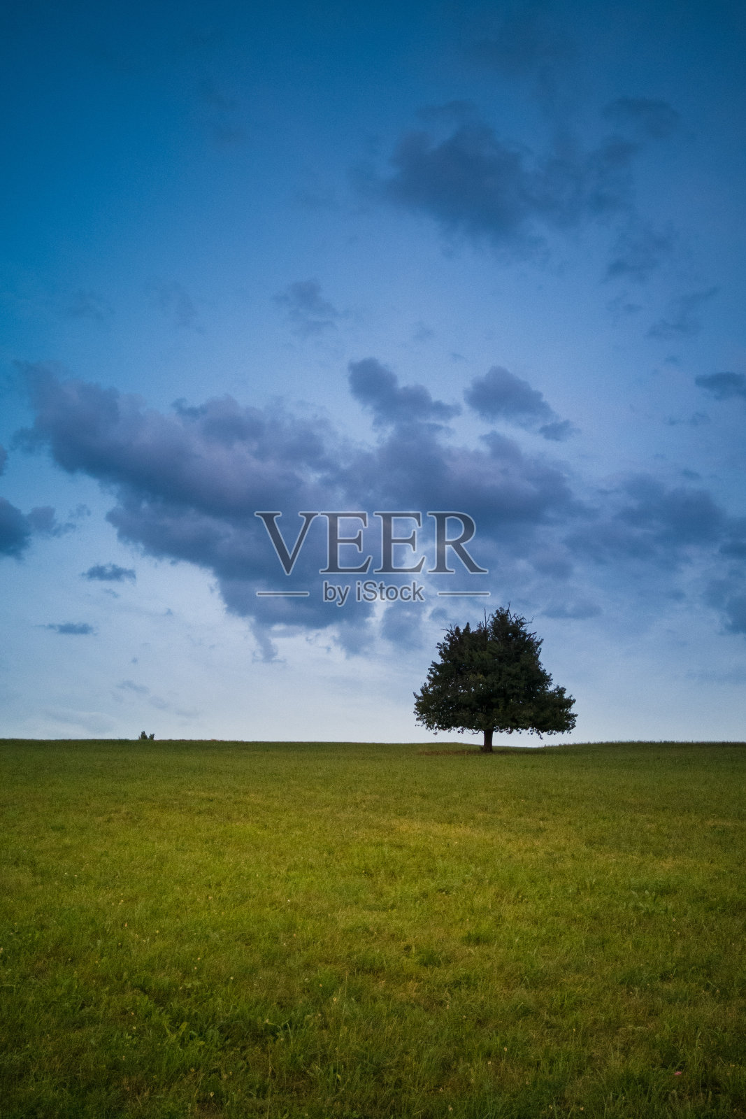 瑞士一棵孤树的黄昏照片摄影图片