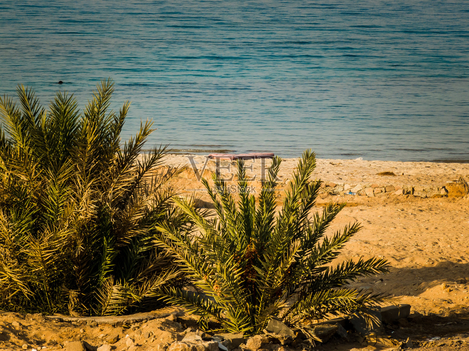 在沙漠中跋涉照片摄影图片