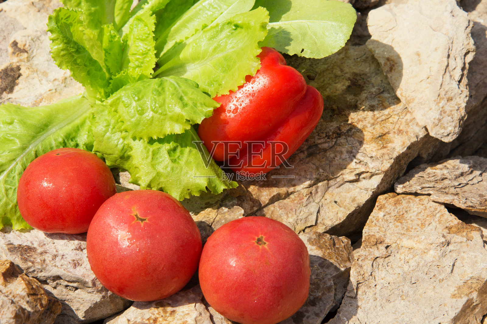 夏天。健康食品,蔬菜。乡村生活。照片摄影图片