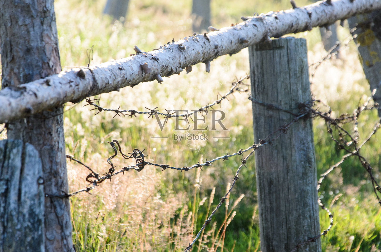 铁丝网照片摄影图片