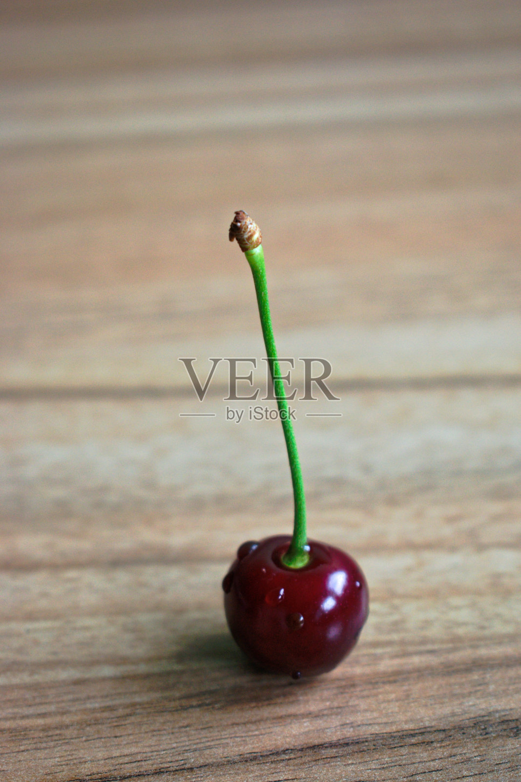 樱桃照片摄影图片