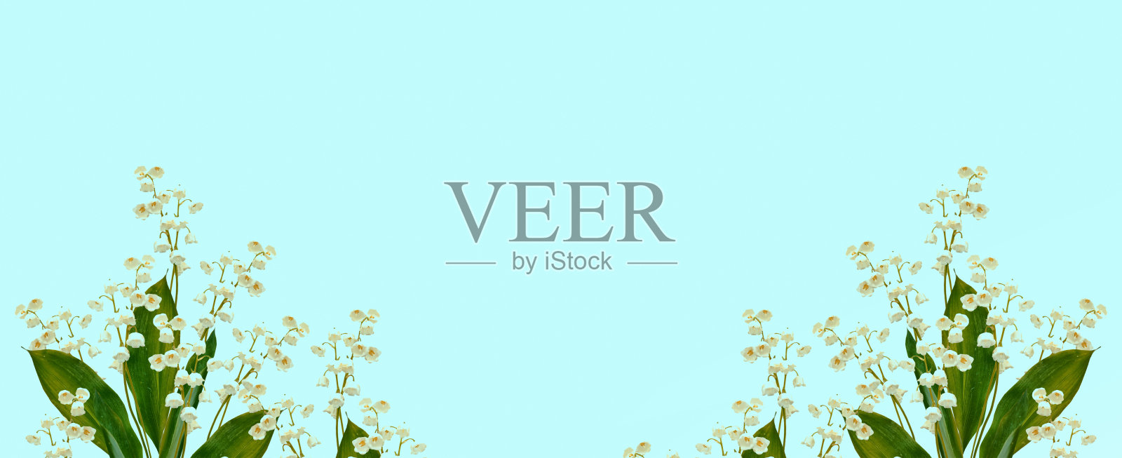 山谷中的百合花照片摄影图片