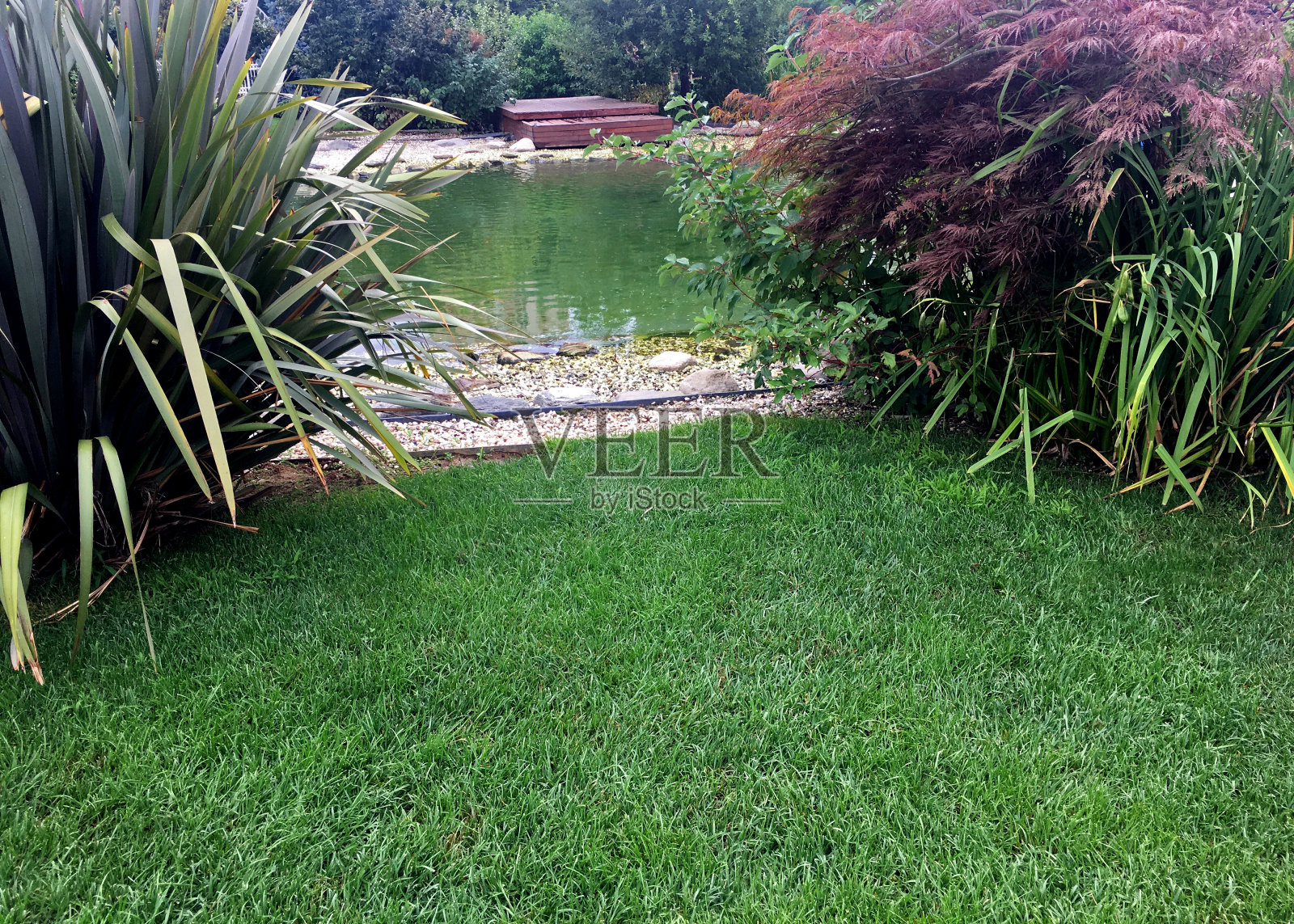 花园照片摄影图片