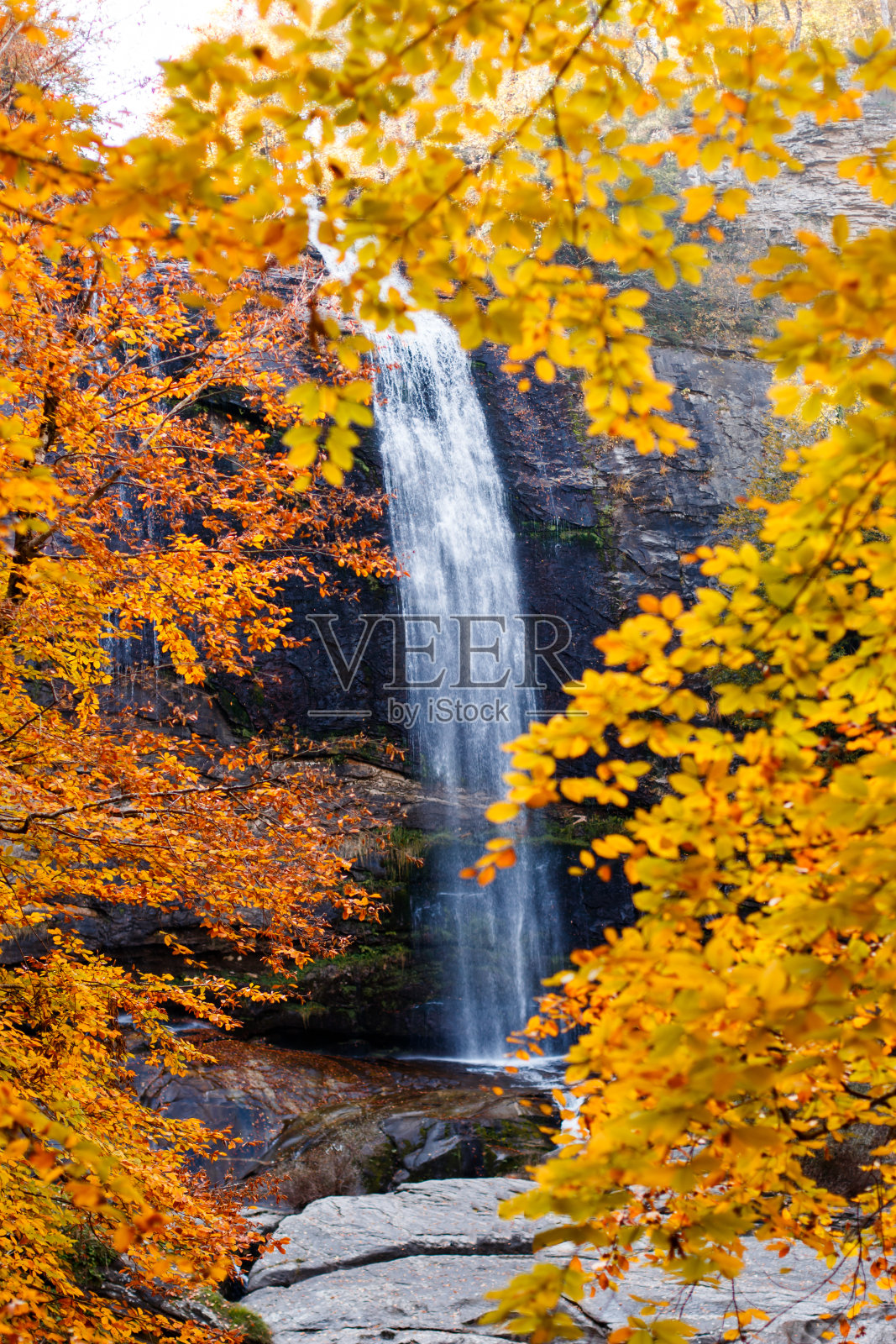 瀑布在森林照片摄影图片