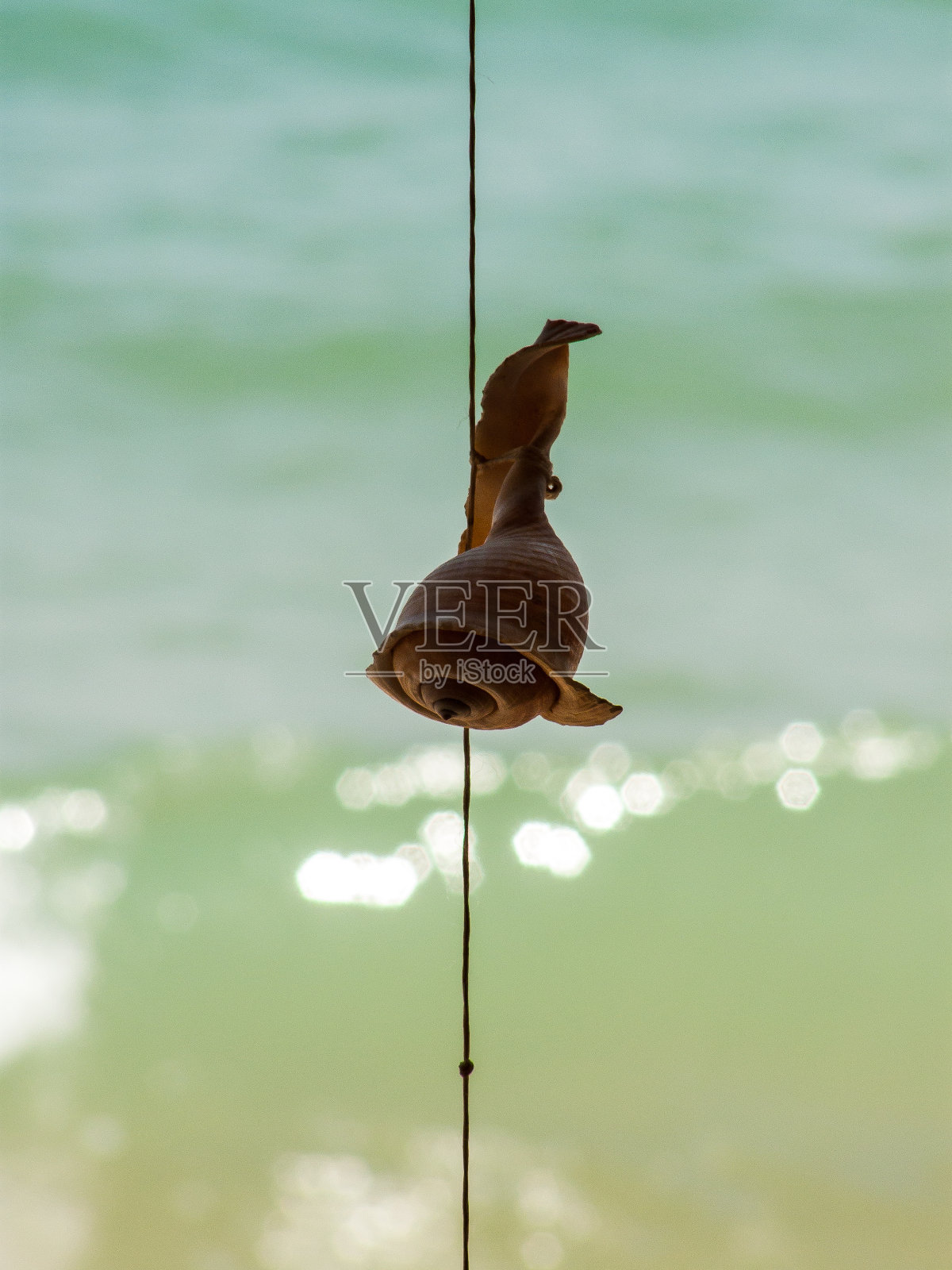 沙漠徒步旅行照片摄影图片