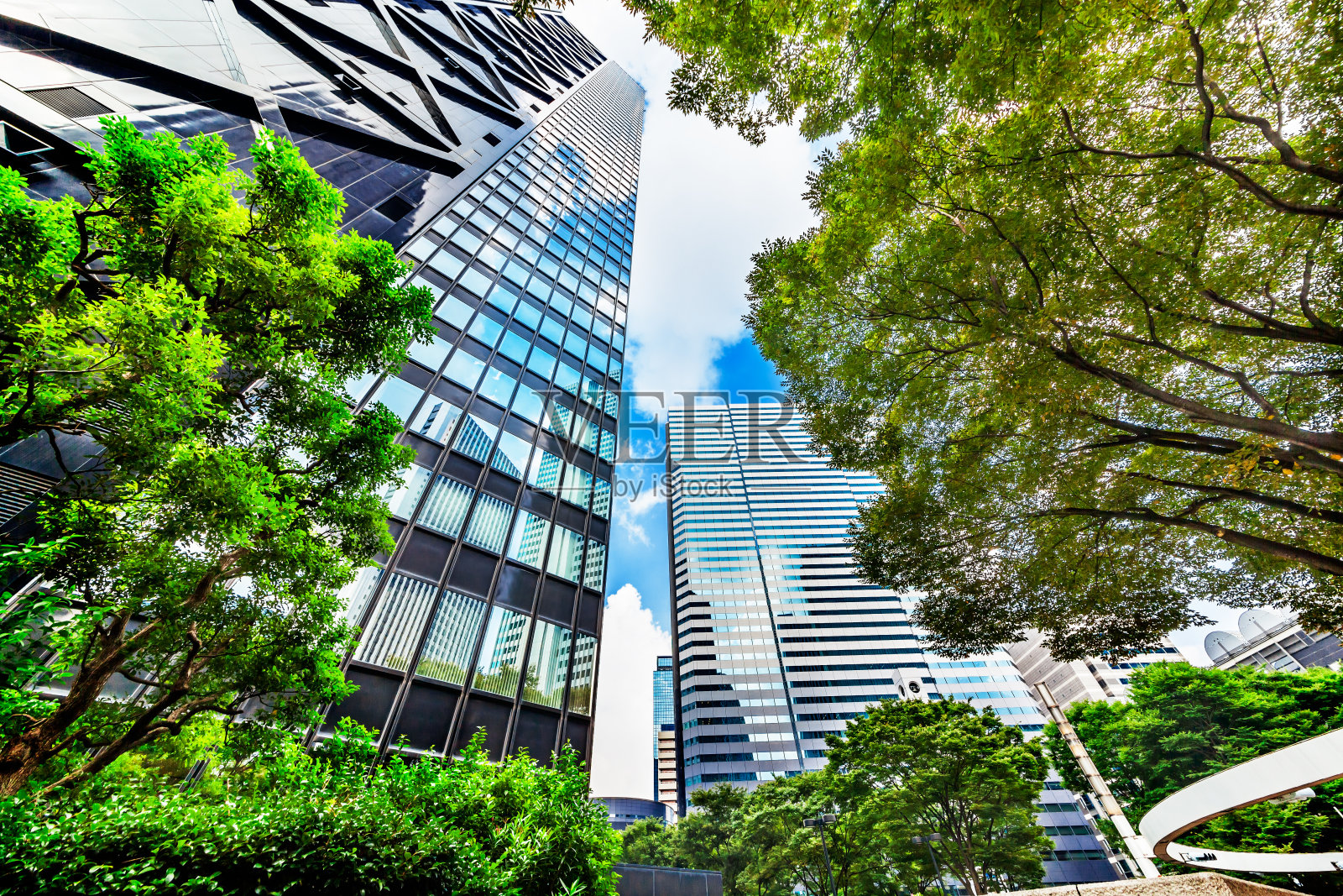 清晨新宿高层建筑群照片摄影图片