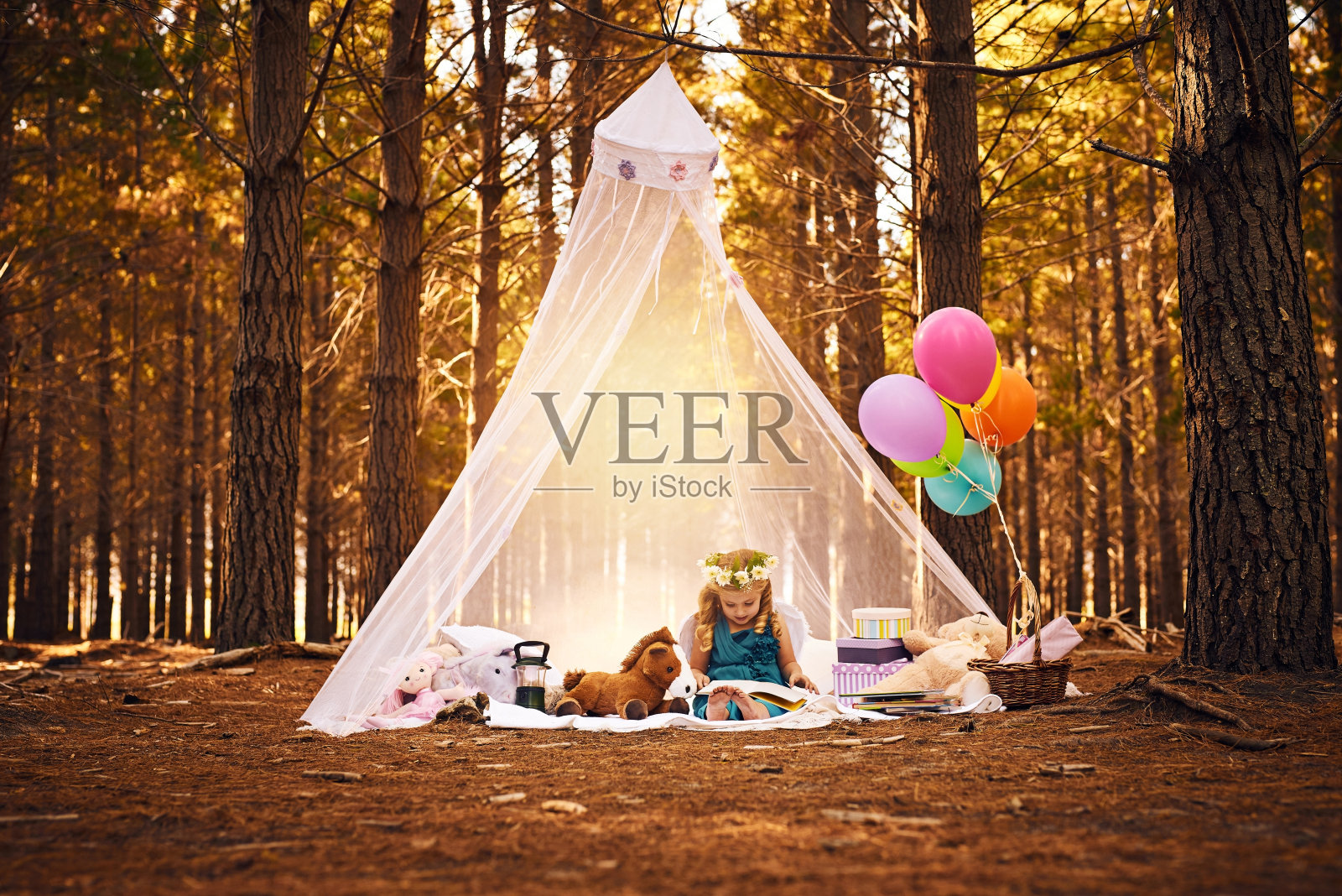 我想永远呆在这里照片摄影图片