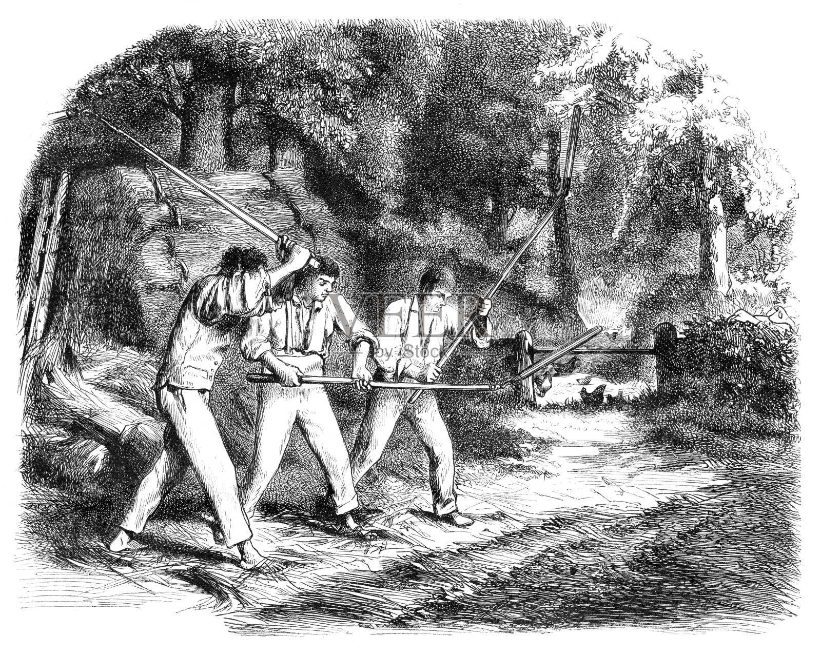 农民用连枷把小麦从谷壳中分离出来插画图片素材