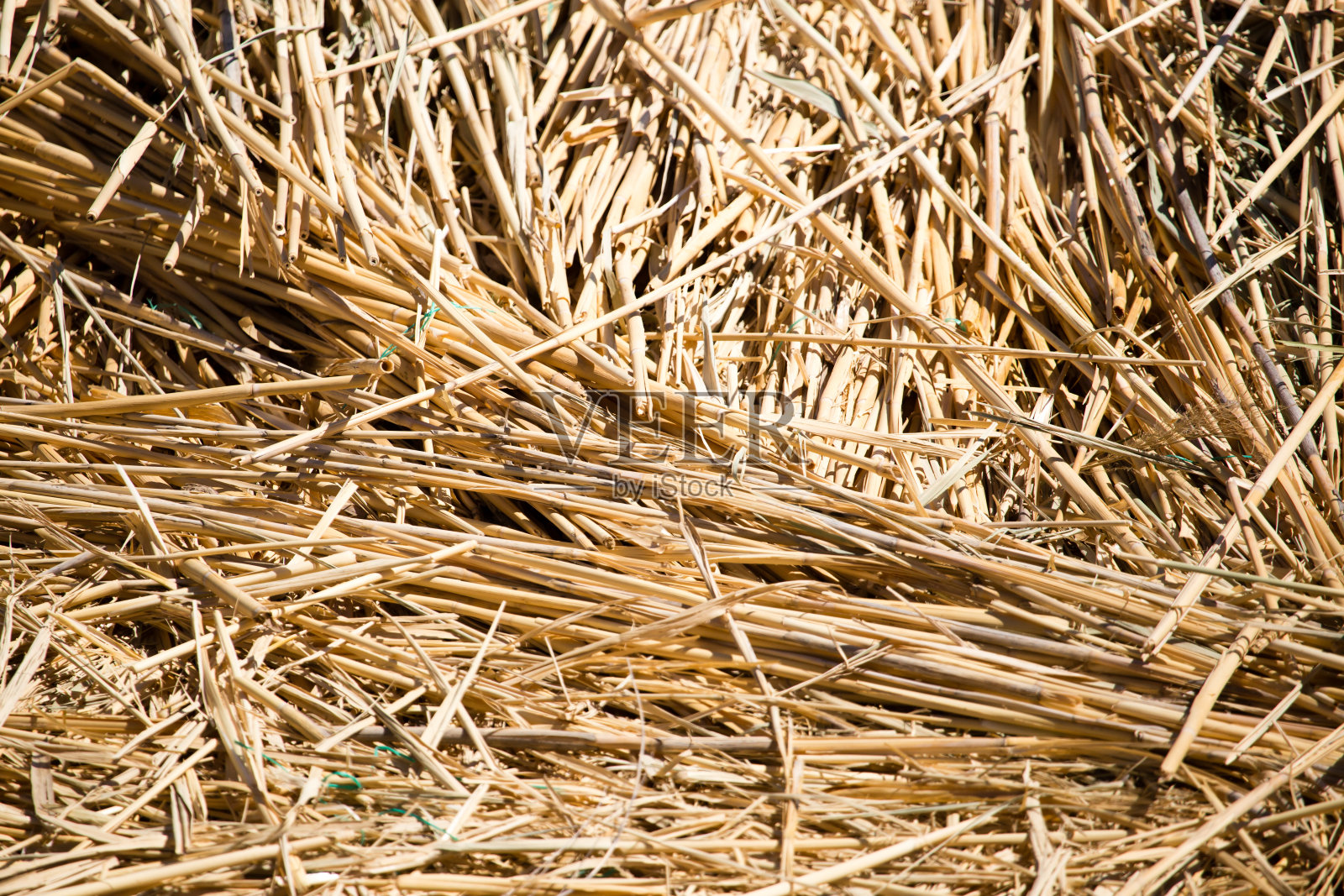 地面上晒着黄色干草作为背景照片摄影图片