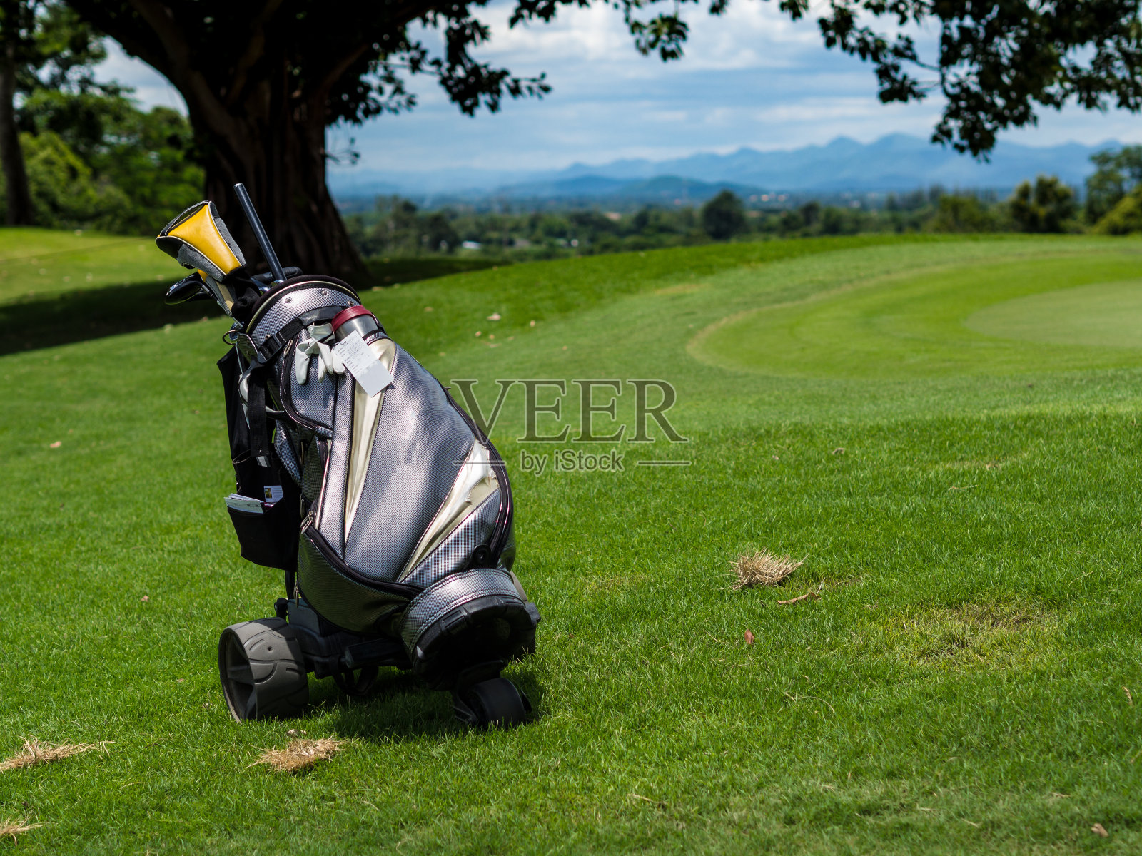 球场内绿草如茵的球道，蓝天白云，绿草如茵，绿草如茵，绿草如茵，绿草如茵，绿草如茵，绿草如茵，绿草如茵，绿草如茵，绿草如茵，绿草如茵，绿草如茵，绿草如茵，绿草如茵照片摄影图片