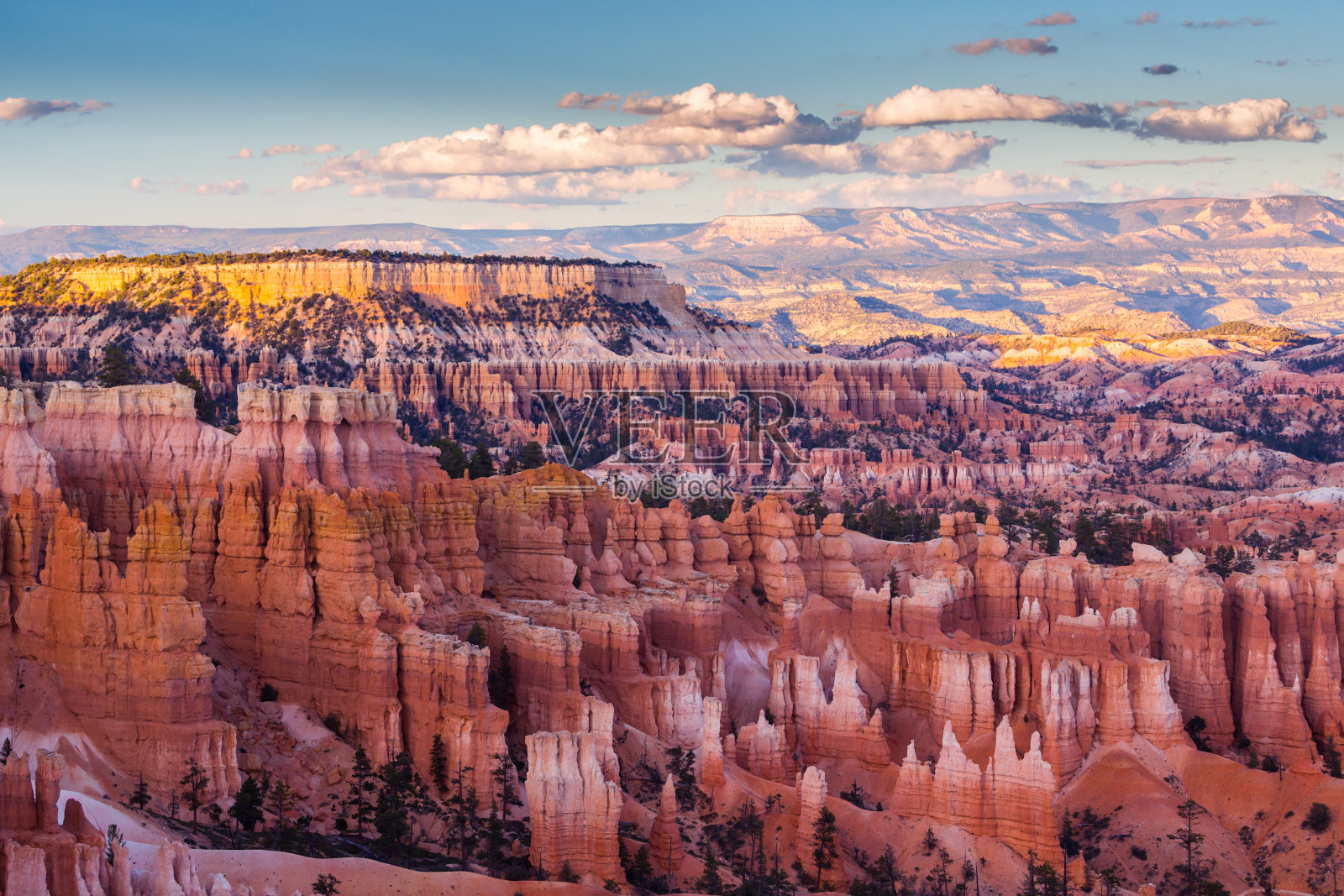 在温暖的阳光下，布莱斯峡谷国家公园的风景照片摄影图片