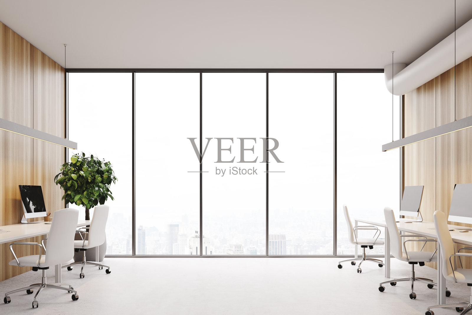 木质办公室水族馆会议室，树照片摄影图片