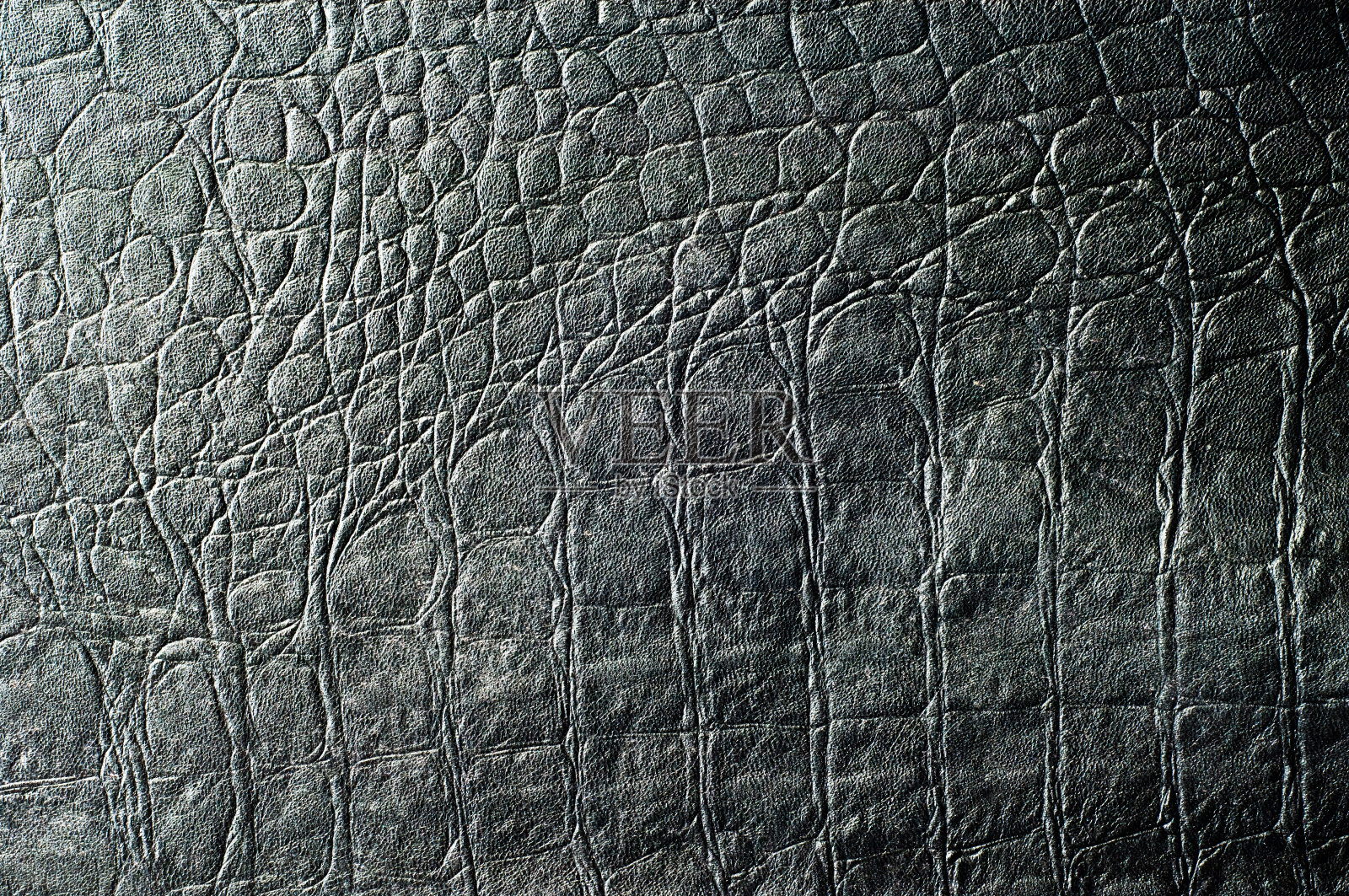 皮肤黑色鳄鱼。纹理照片摄影图片