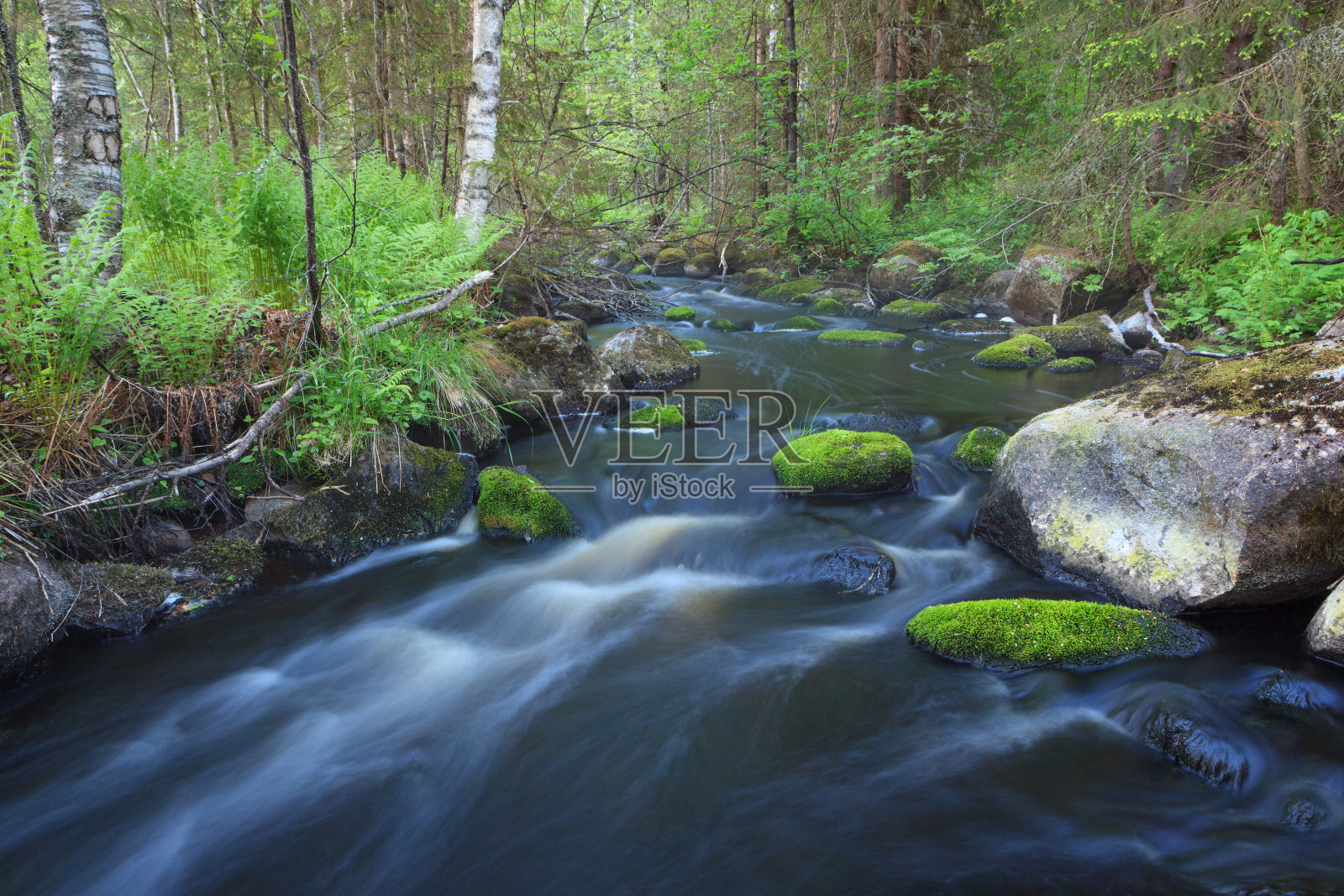 森林中的小溪照片摄影图片