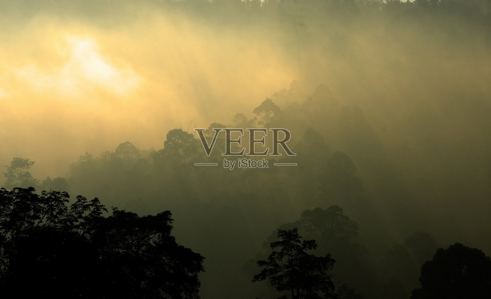 朦胧的时间照片摄影图片