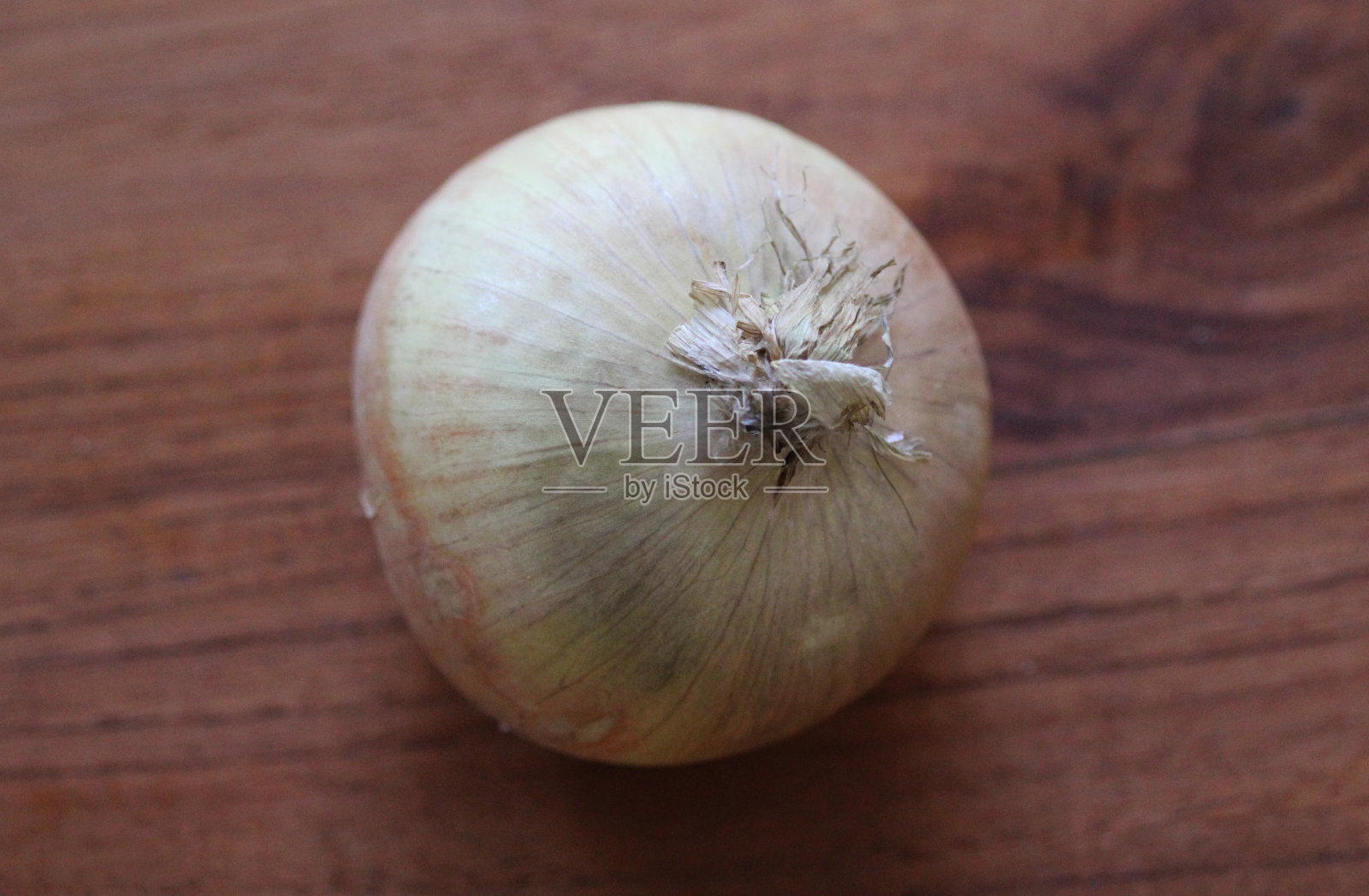 洋葱照片摄影图片