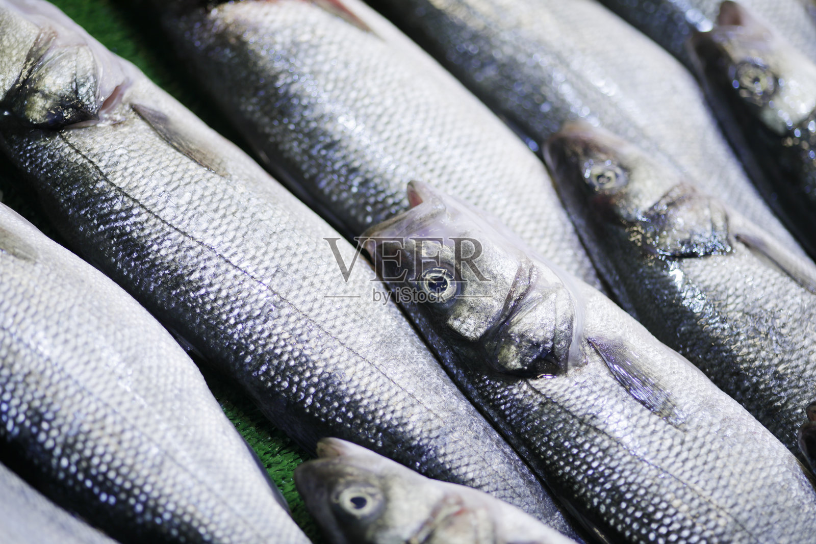 鲜鱼市场上的海鲈鱼照片摄影图片