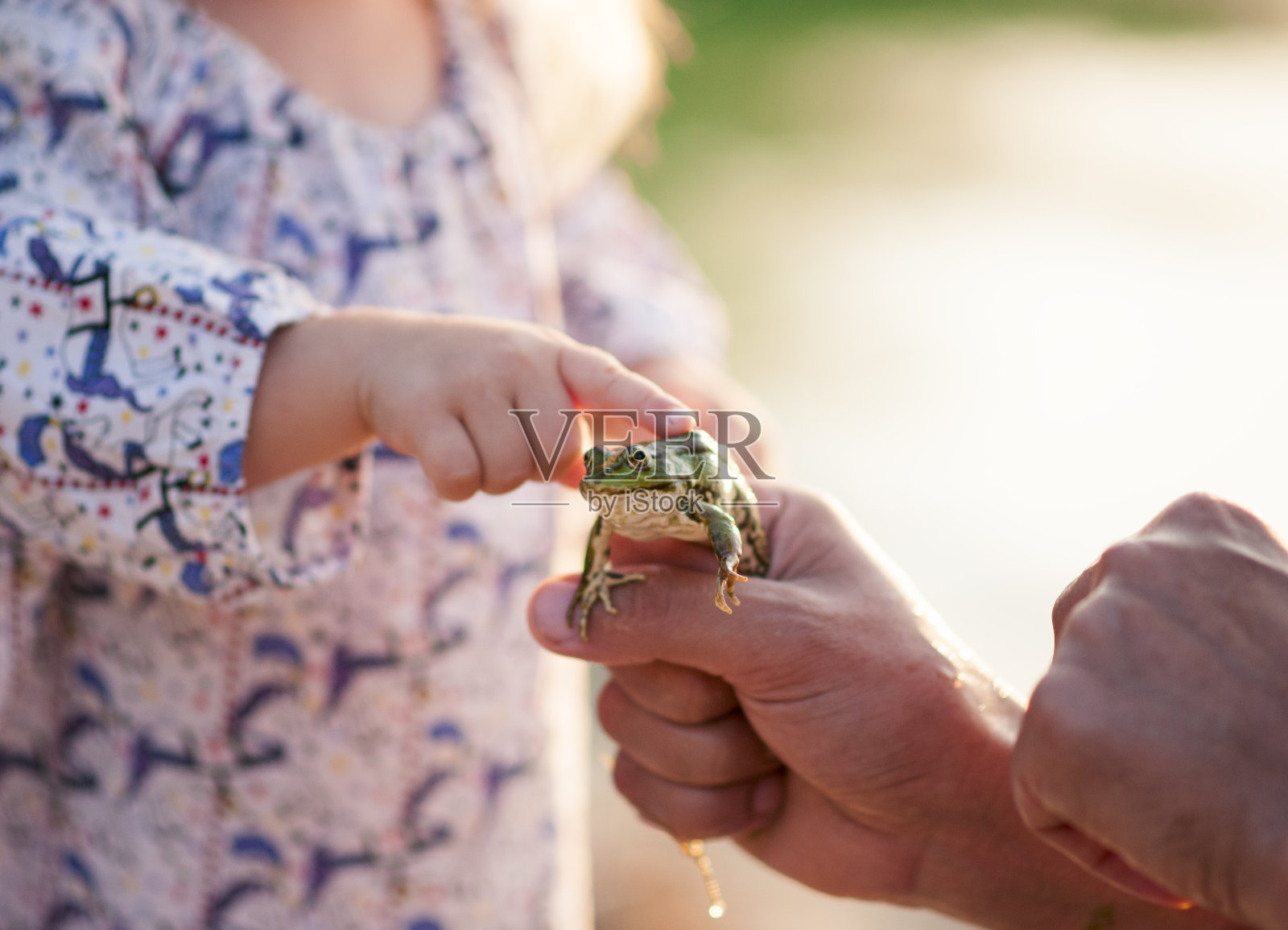 爸爸在外面给孩子看一只青蛙照片摄影图片