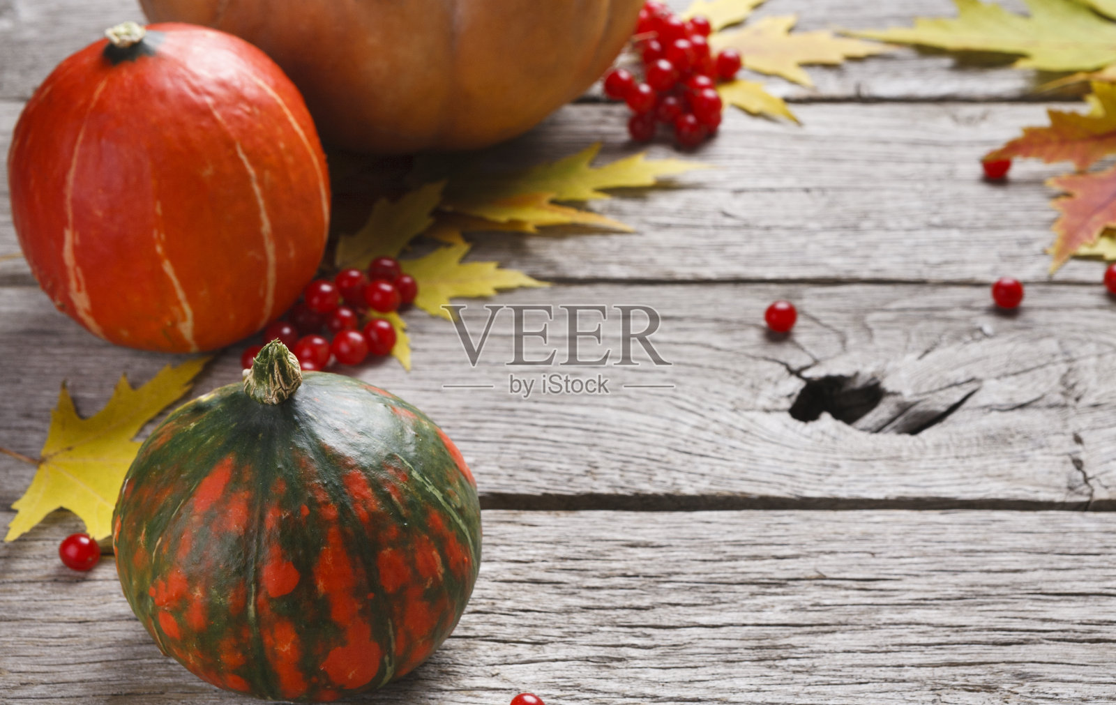 秋天的干花在白木上，背景照片摄影图片