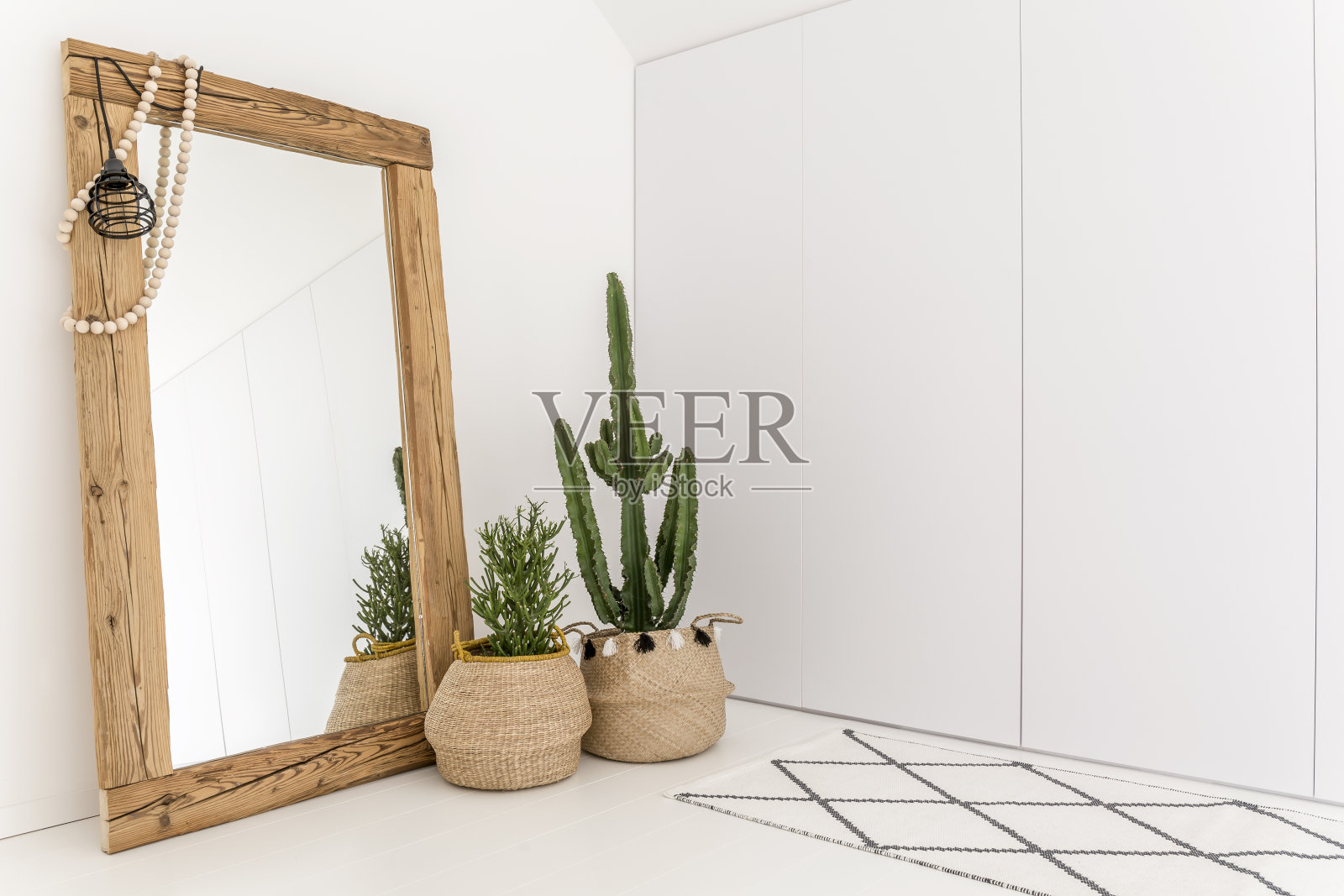 有镜子和仙人掌的房间照片摄影图片