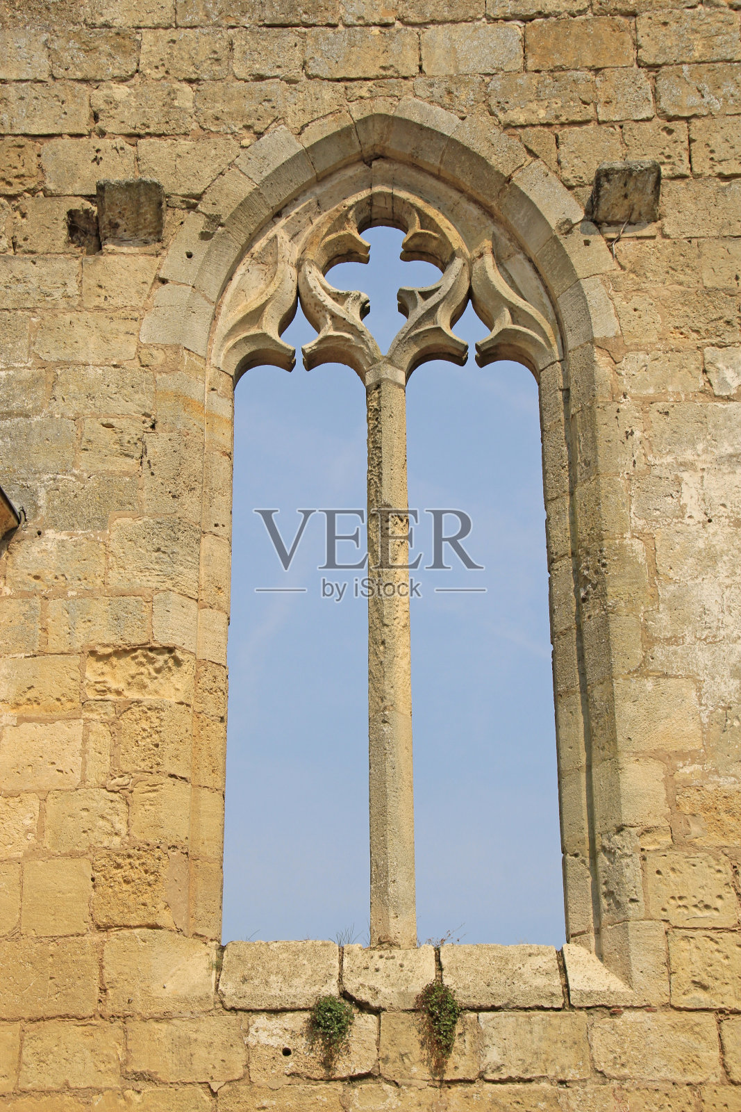 圣爱美浓的科德尔修道院。照片摄影图片