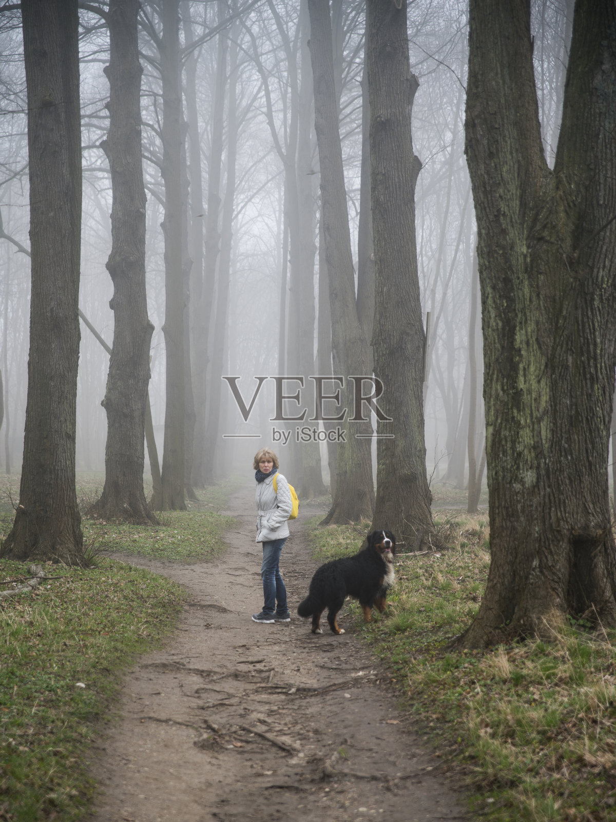 迷人的成熟，50岁，女人遛狗在雾蒙蒙的森林照片摄影图片