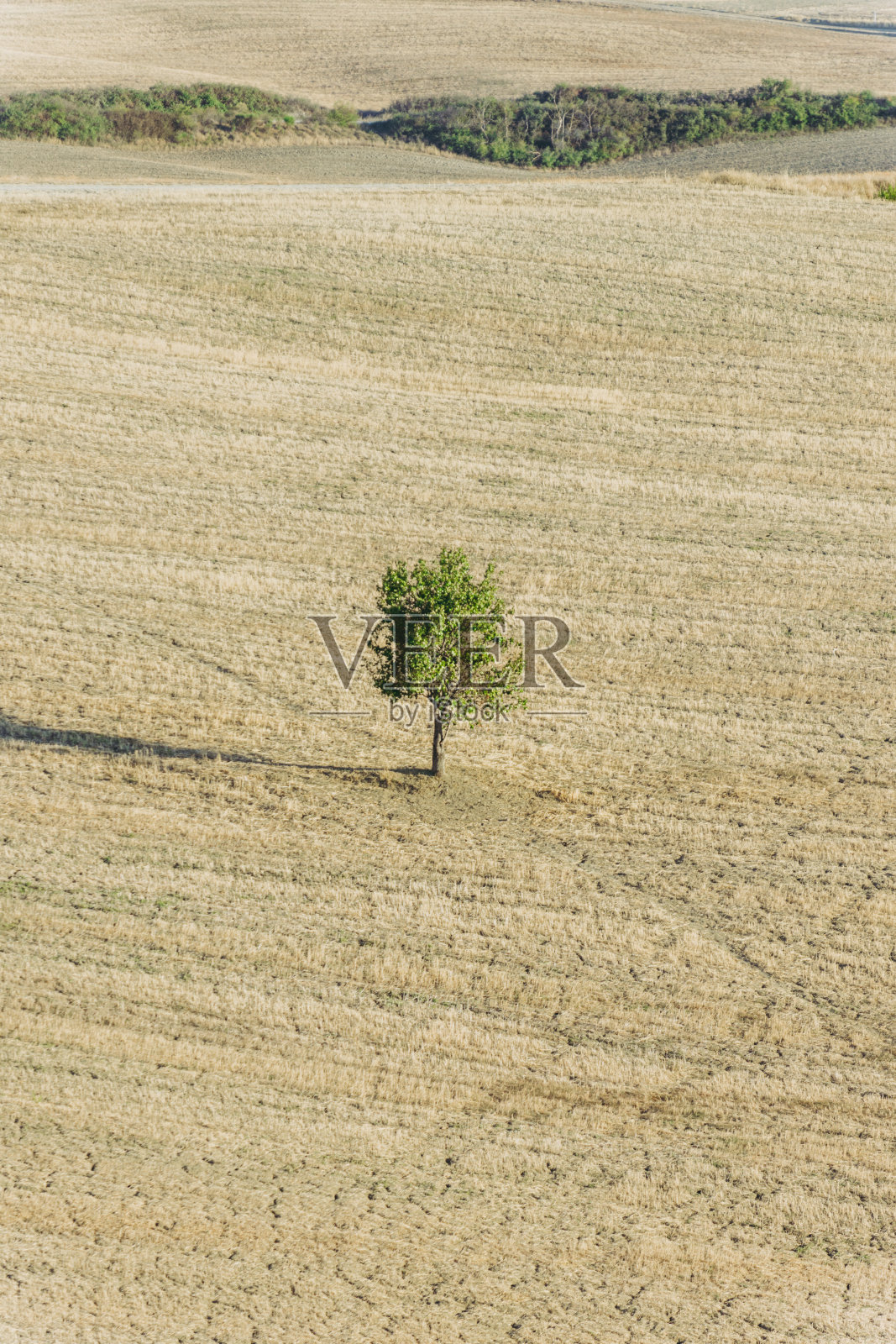 意大利托斯卡纳皮恩扎的典型托斯卡纳景观。照片摄影图片