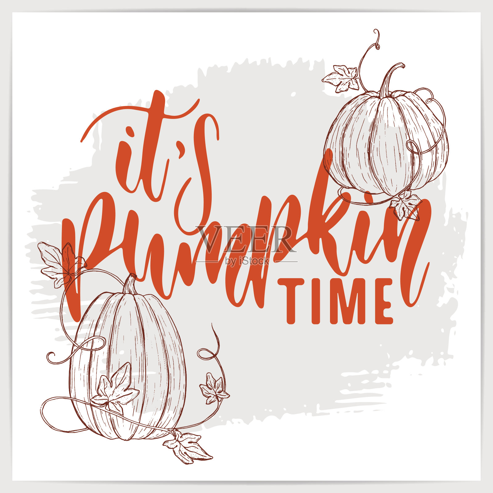 手写引号“南瓜时间到了”。现代书法。插画图片素材