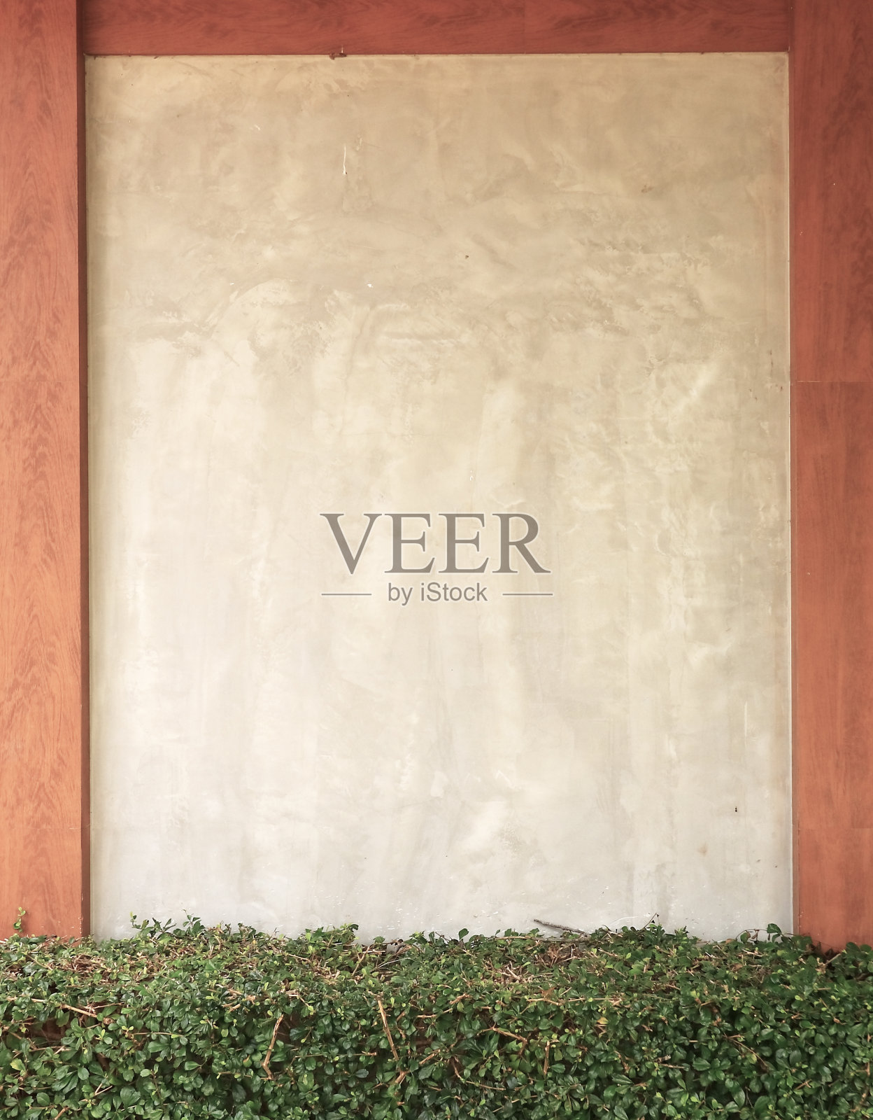 花盆中的树，以水泥墙为背景。照片摄影图片