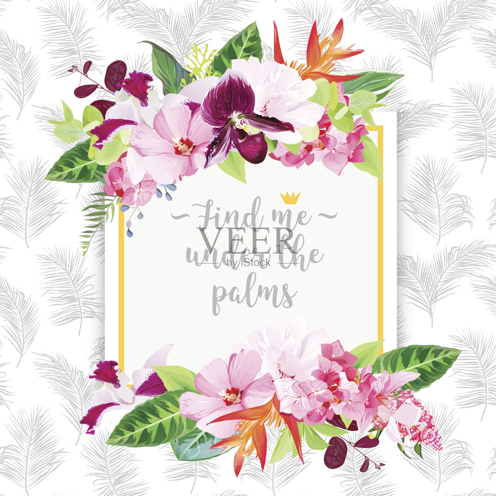 时尚矢量设计方卡插画图片素材