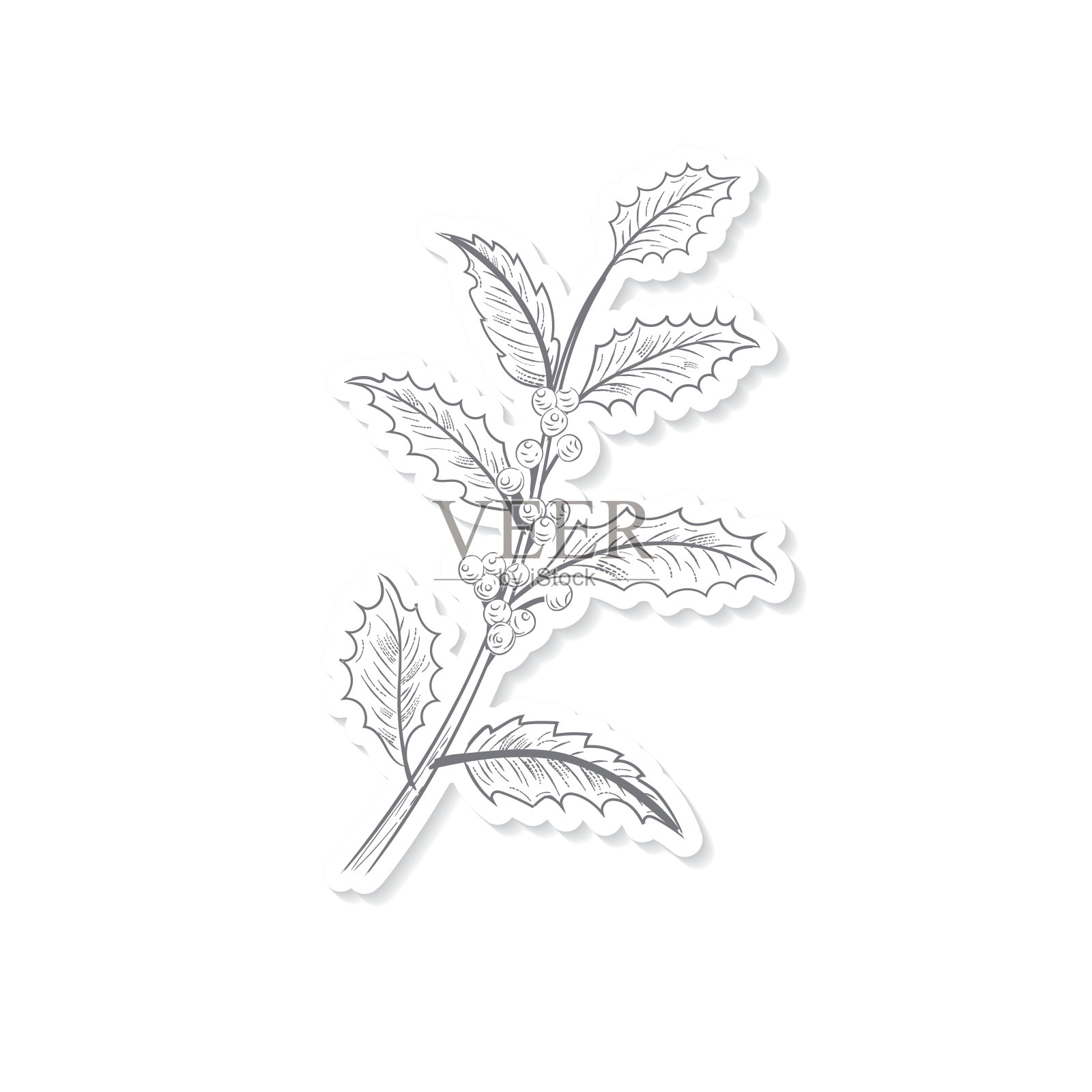 植物圣诞冬青贴纸设计元素图片