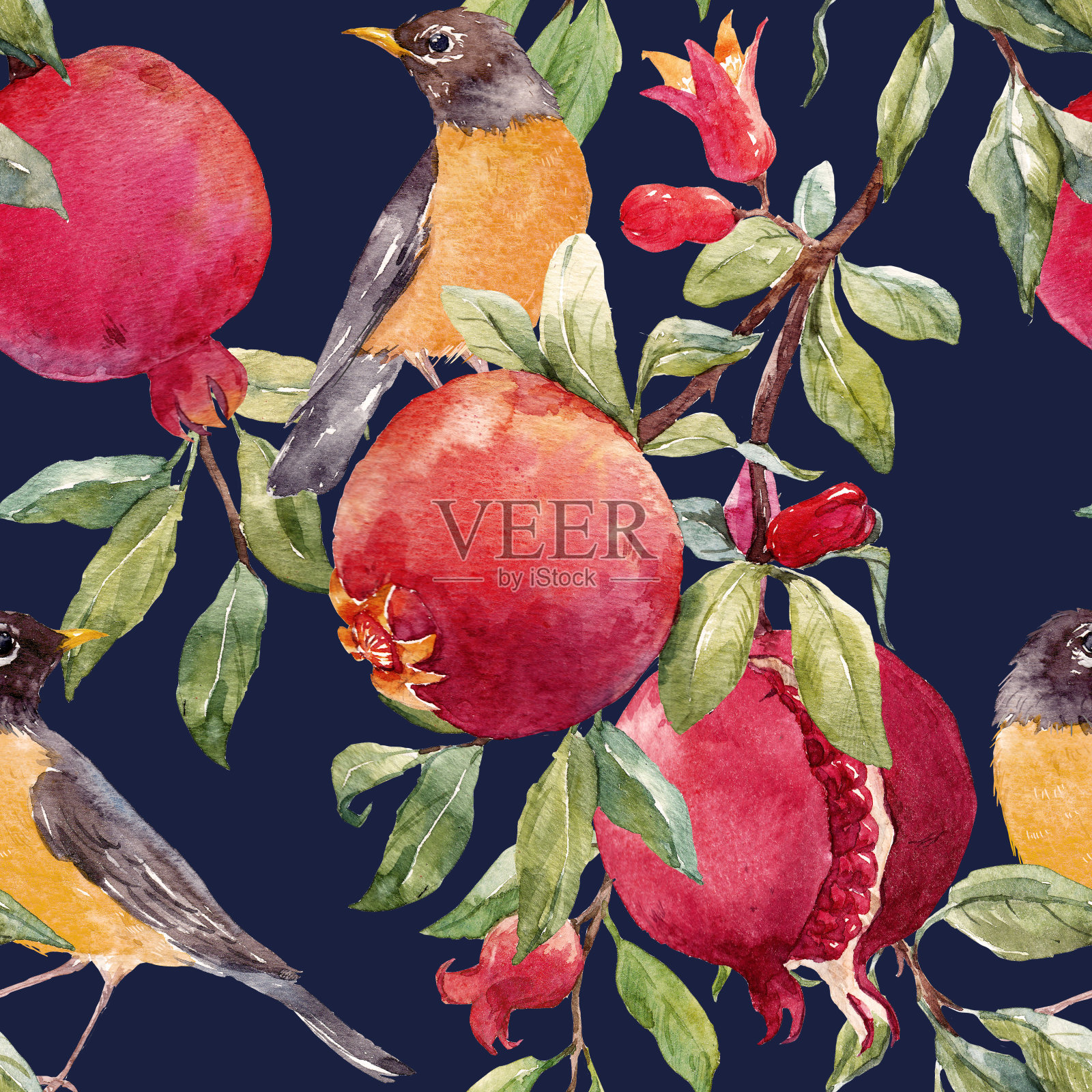 石榴果模式插画图片素材