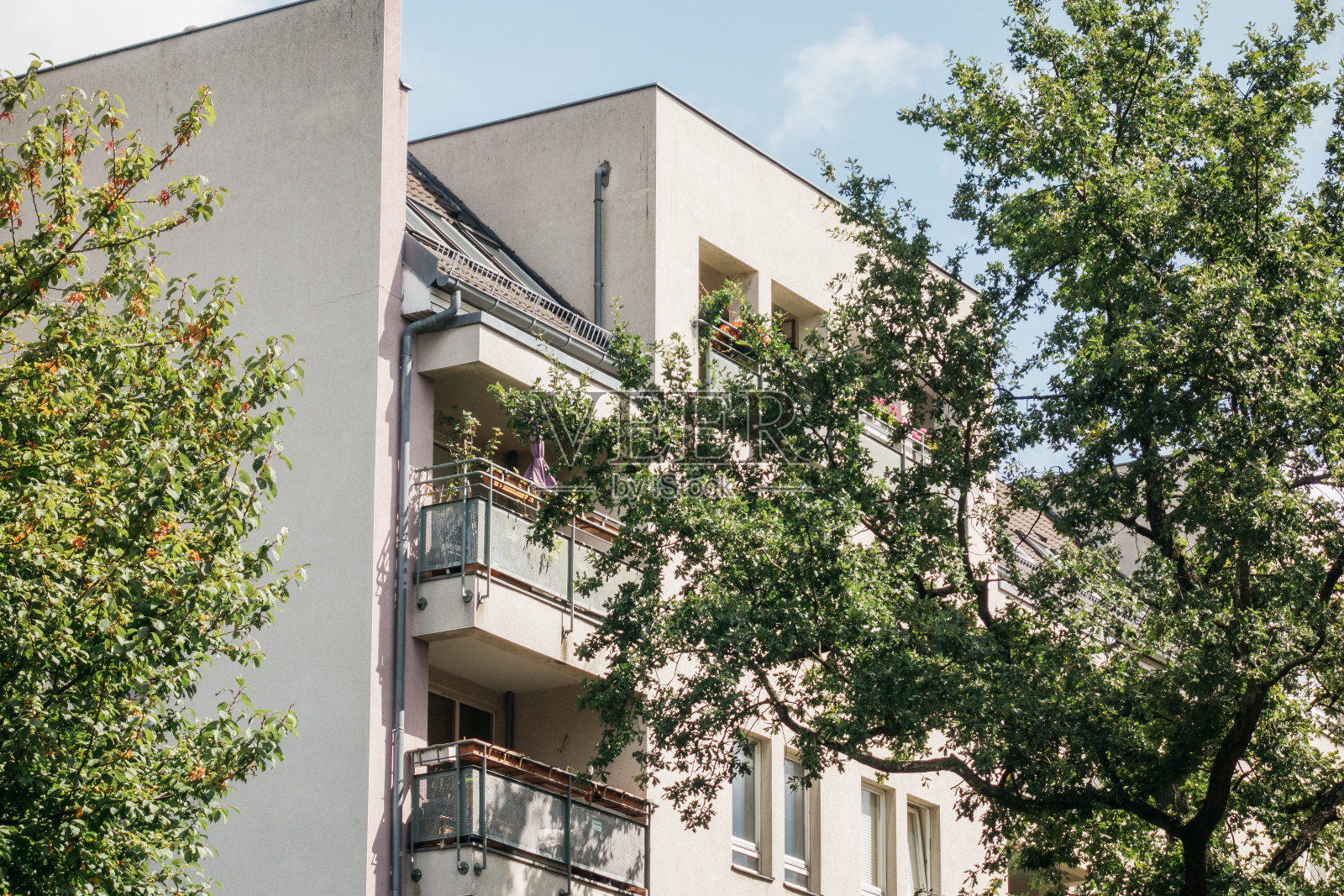 有绿树的现代公寓大楼照片摄影图片