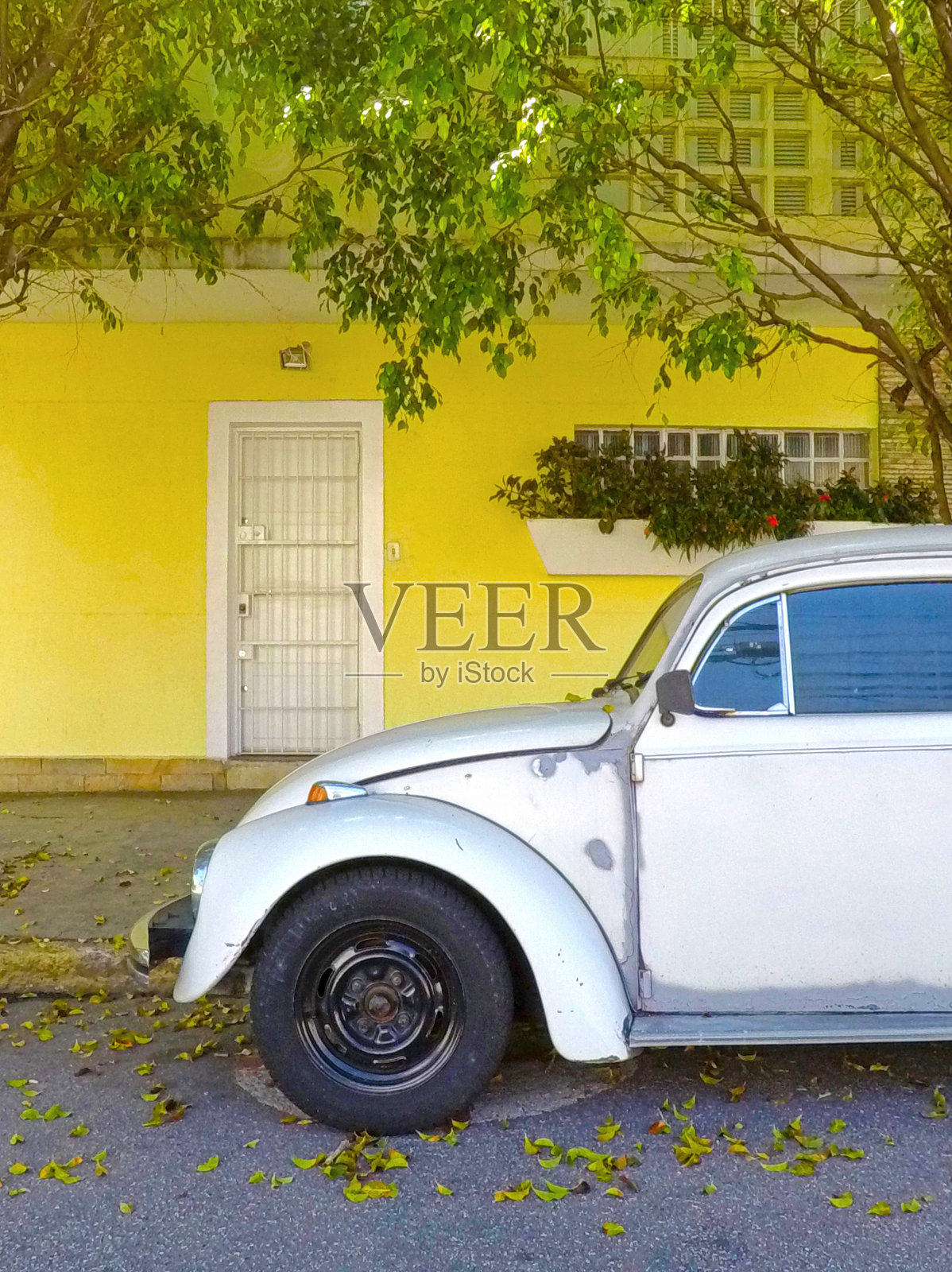 大众福斯卡照片摄影图片