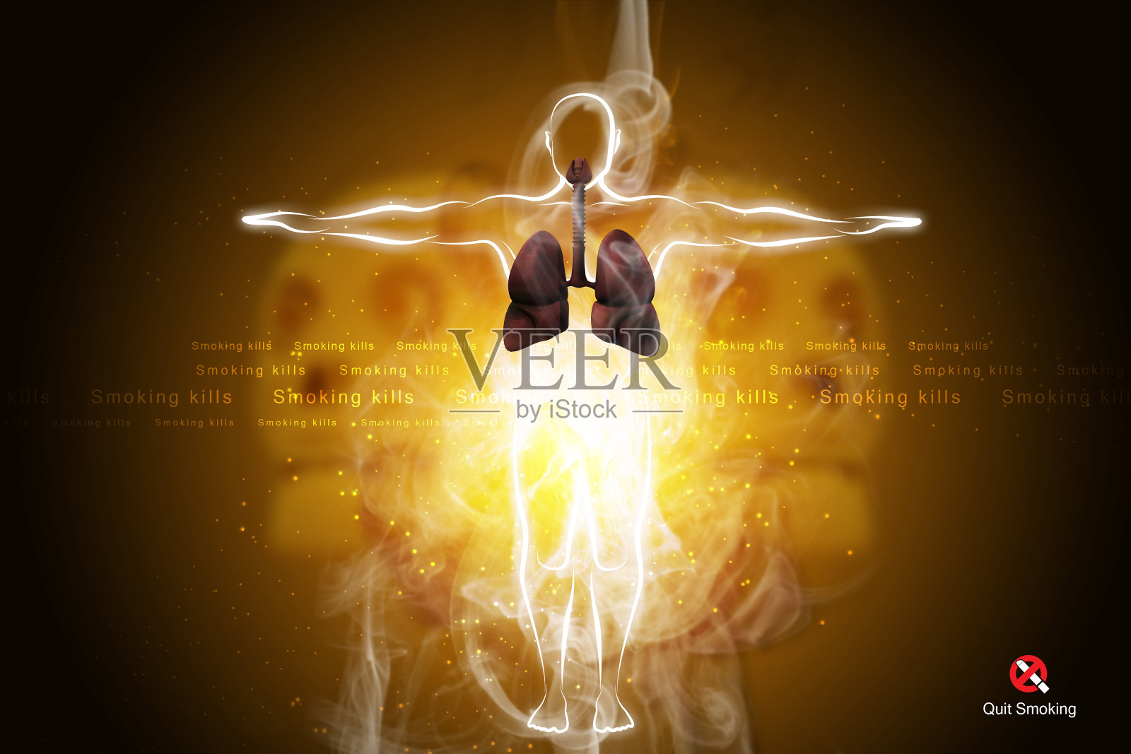 人的呼吸系统有肺照片摄影图片