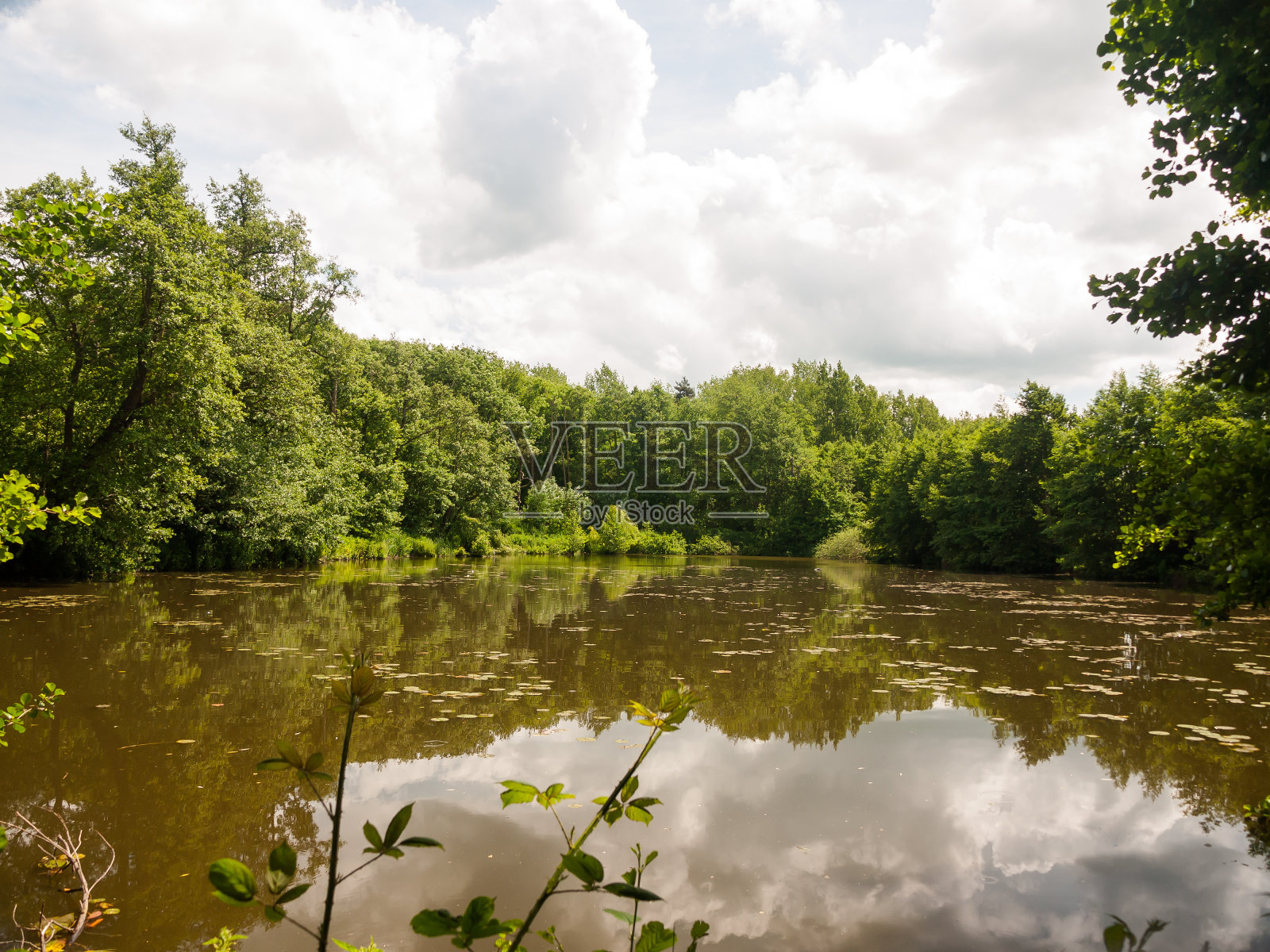 森林空地水池与天空树木照片摄影图片