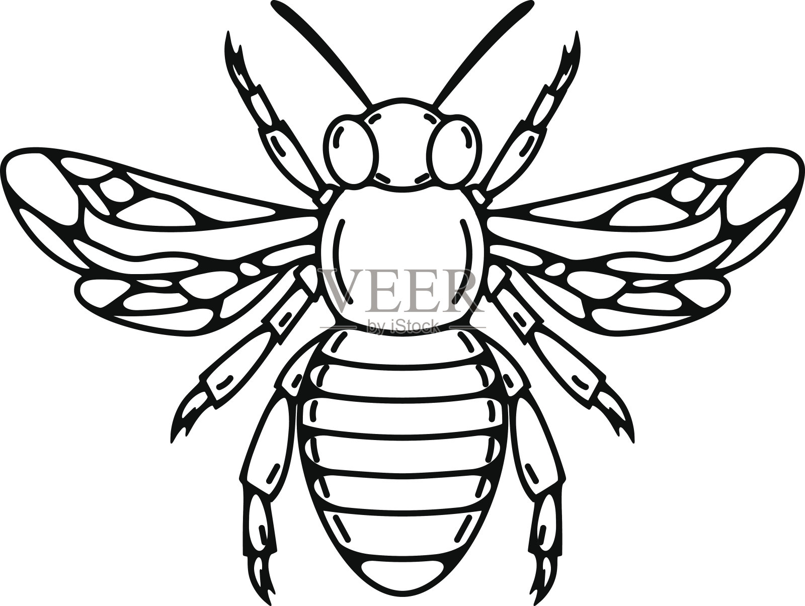 蜜蜂插图孤立在白色背景。插画图片素材