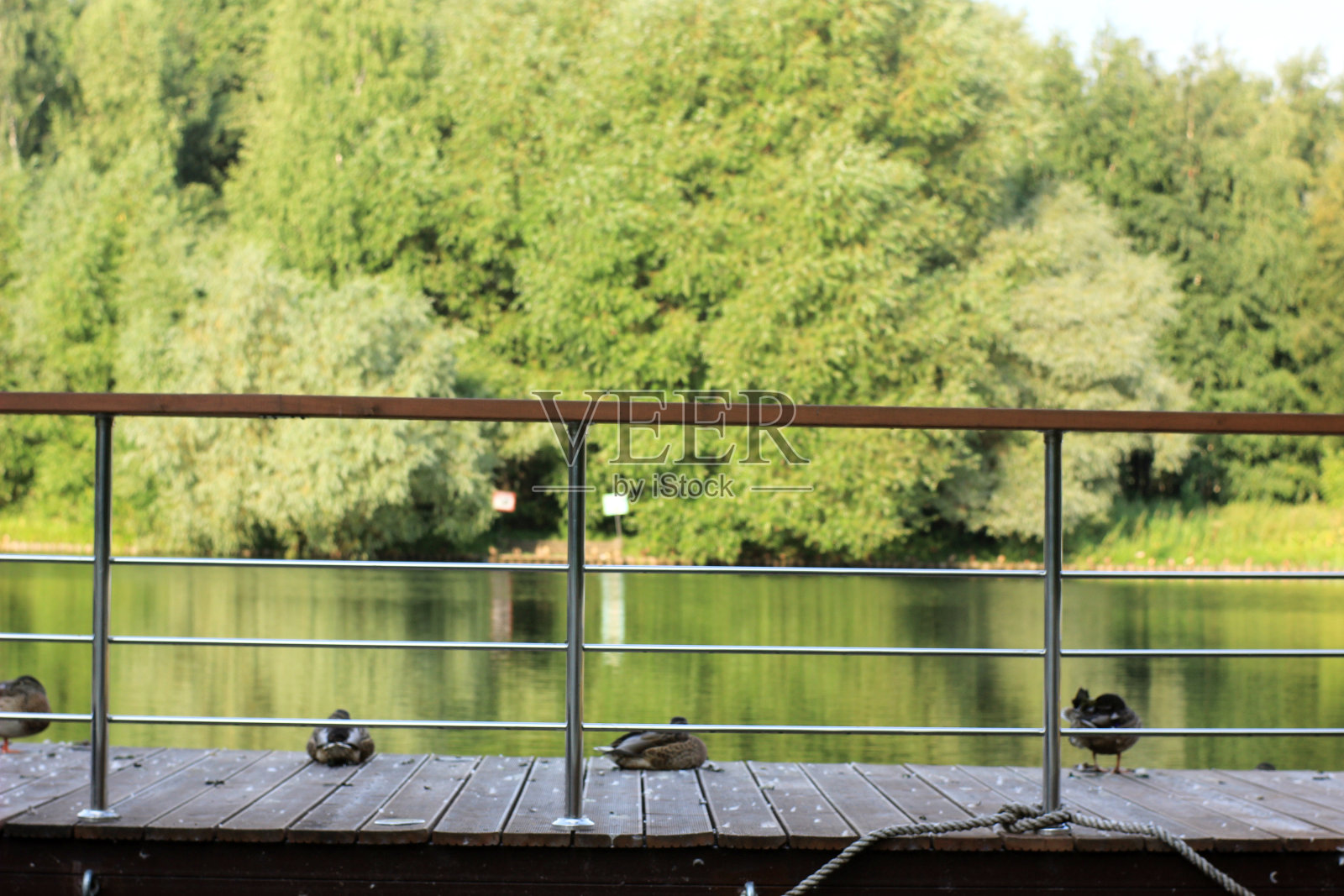 在池塘边的公园里照片摄影图片